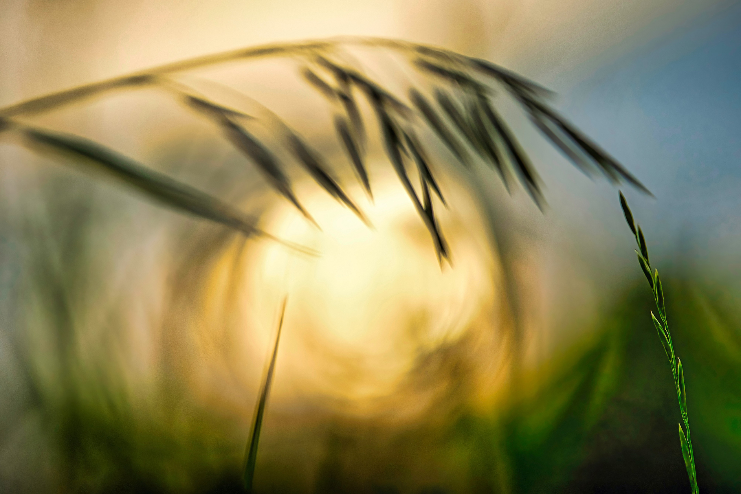 Наша мать — природа. Фотограф Владимир Артамонов