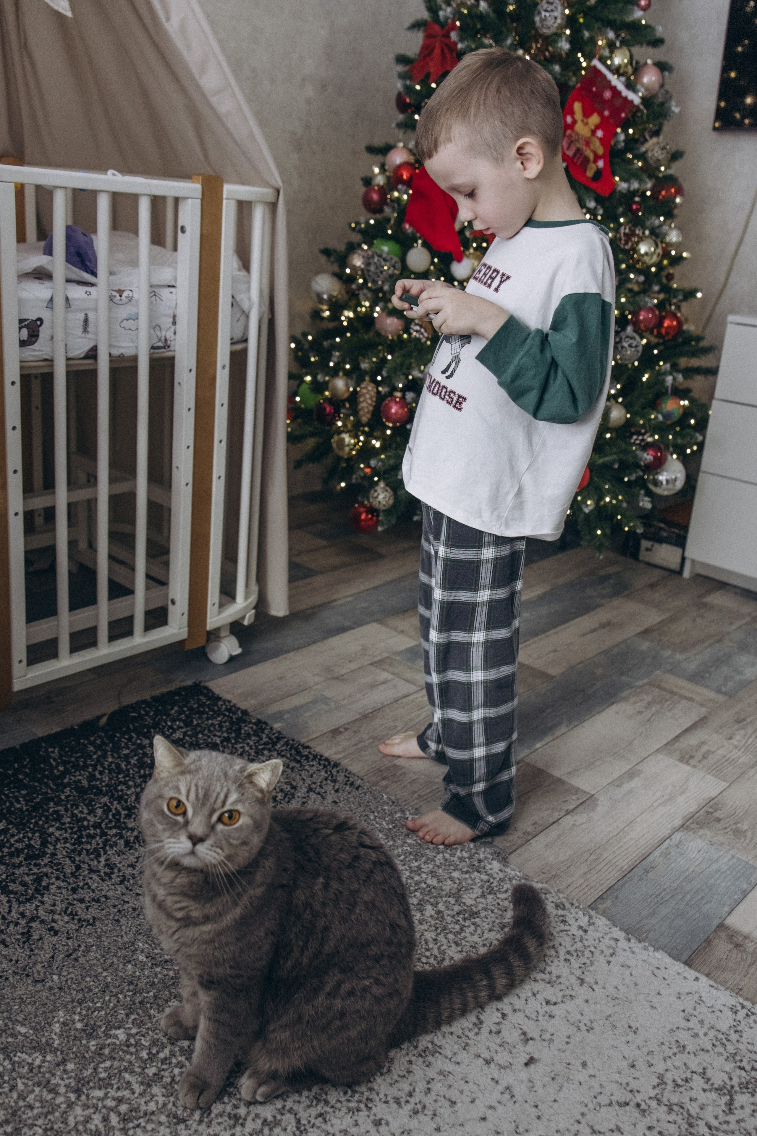 Домашняя фотосессия. Фотограф в Новосибирске Екатерина Васильева