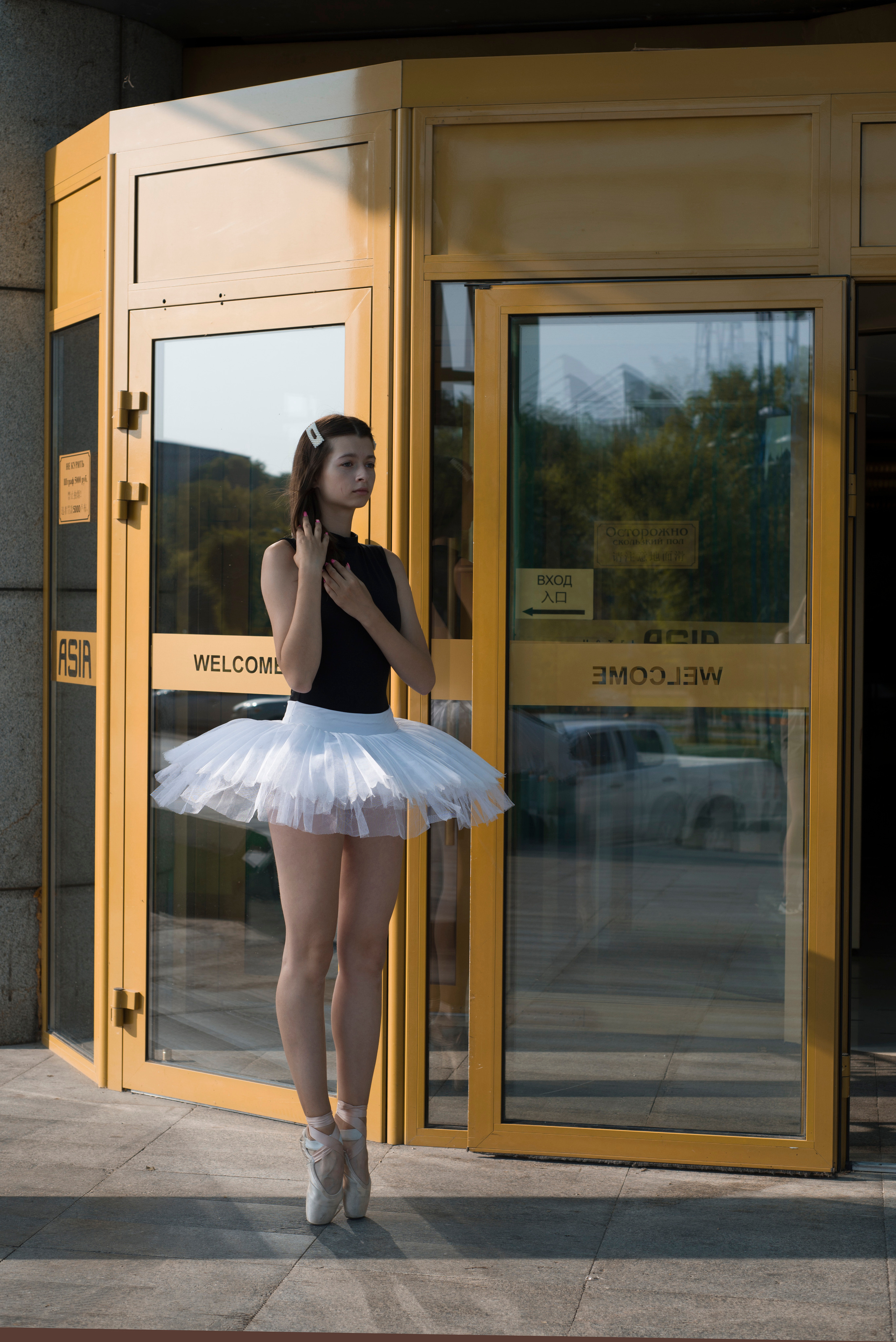 Работы Алёны. Школьные и выпускные альбомы