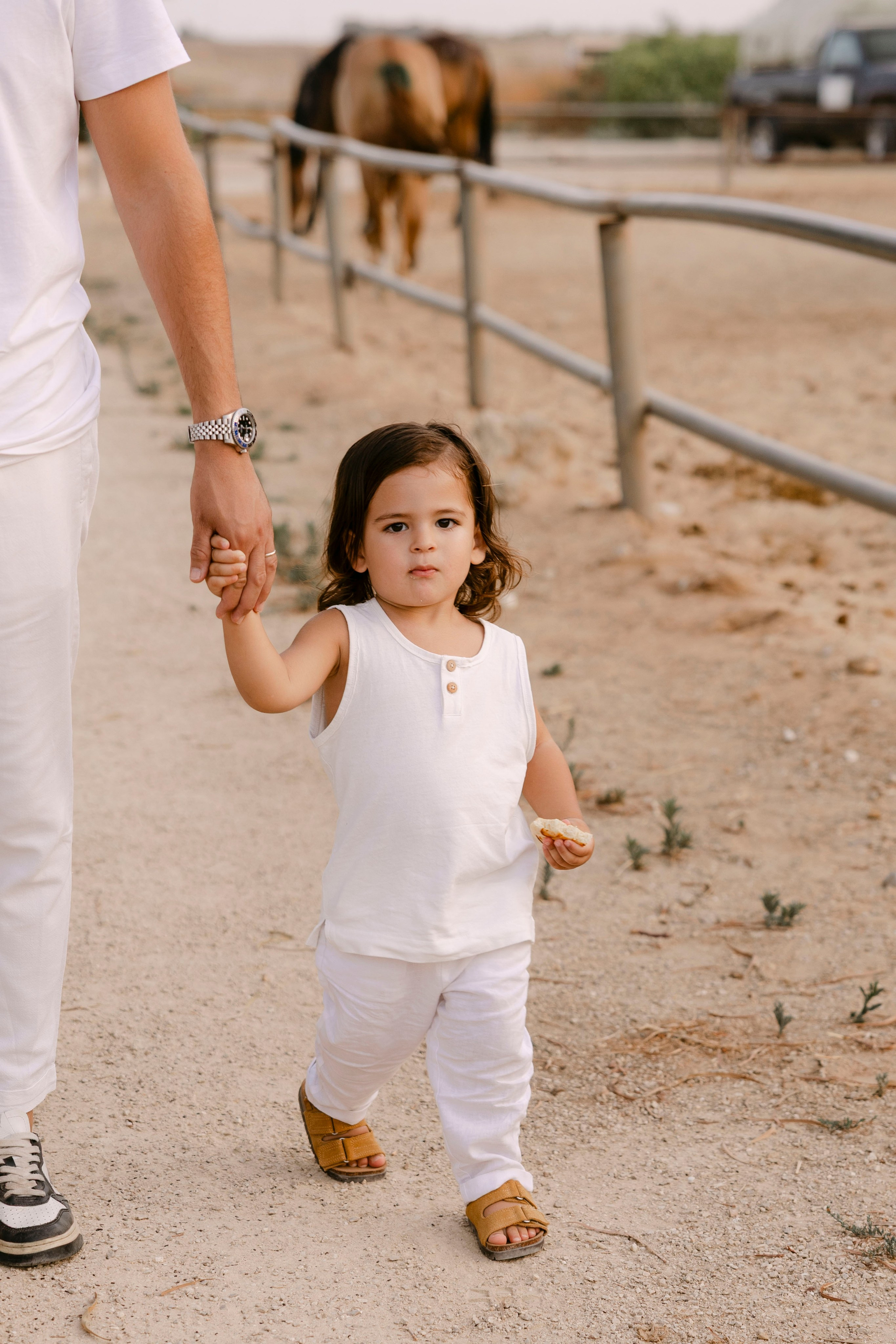 Pregnancy photoshoot at the horse farm. Главная