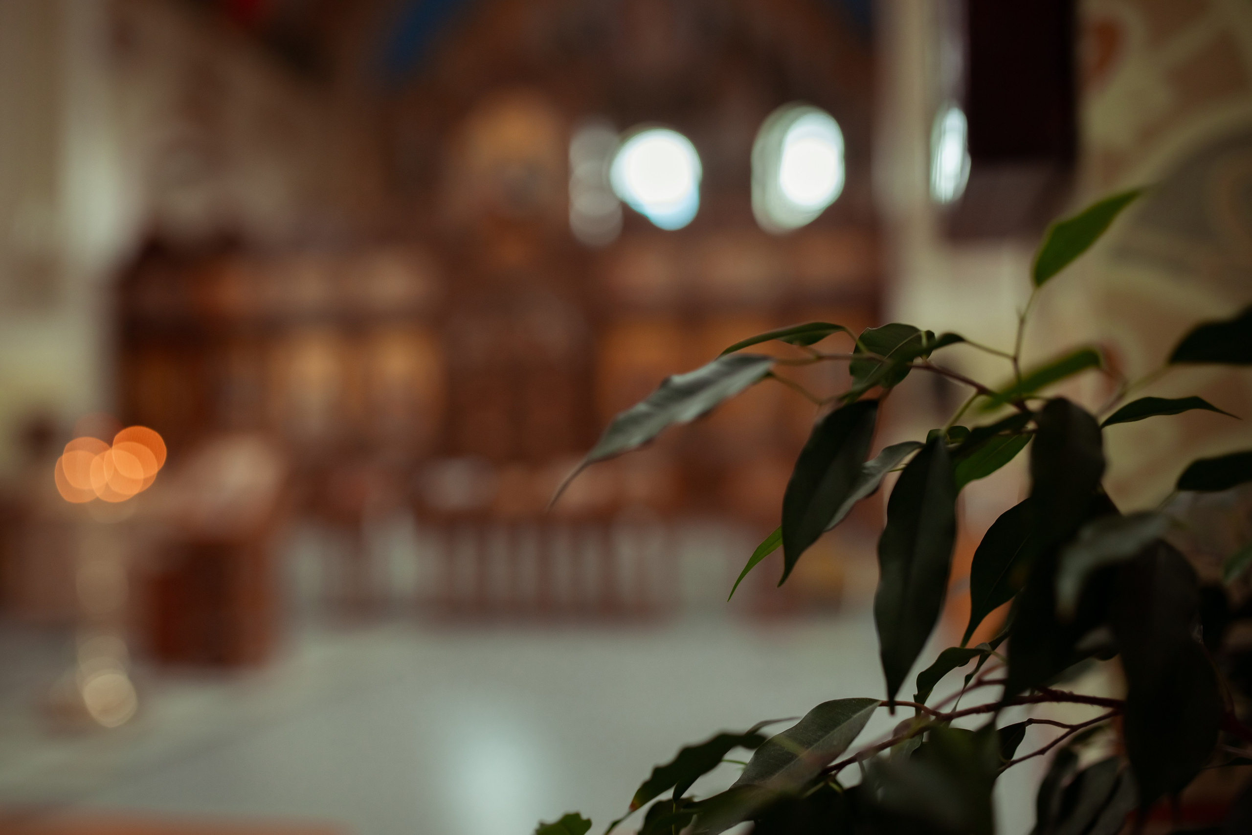 Венчание Елены и Павла в Храме СВ Саввы Сторожевского. Семейный и детский фотограф в Москве Дорогова Екатерина