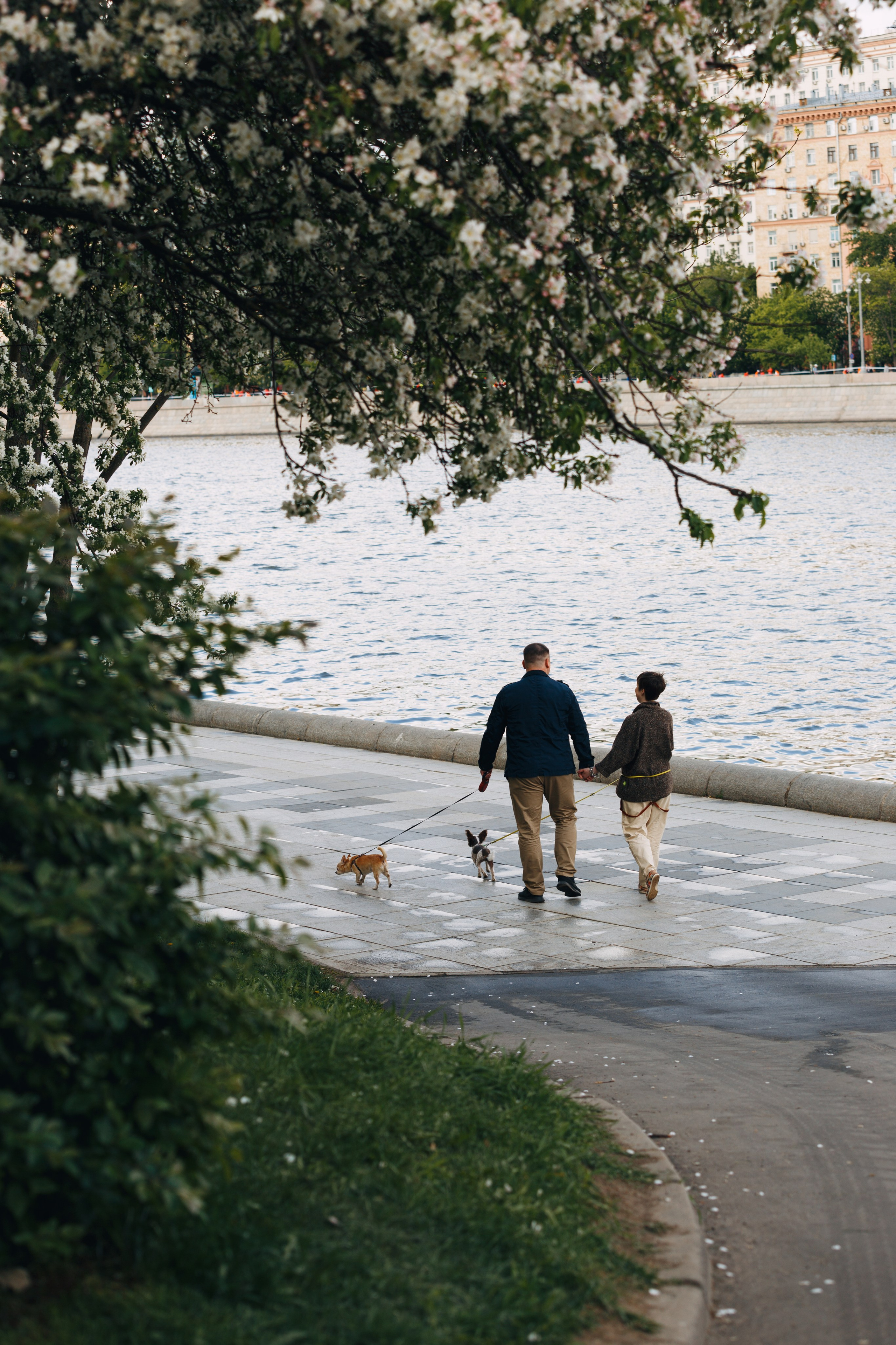 Оля, Патрик, Мейли и Джонни. Фотограф анималист Кристина Карпова, Москва