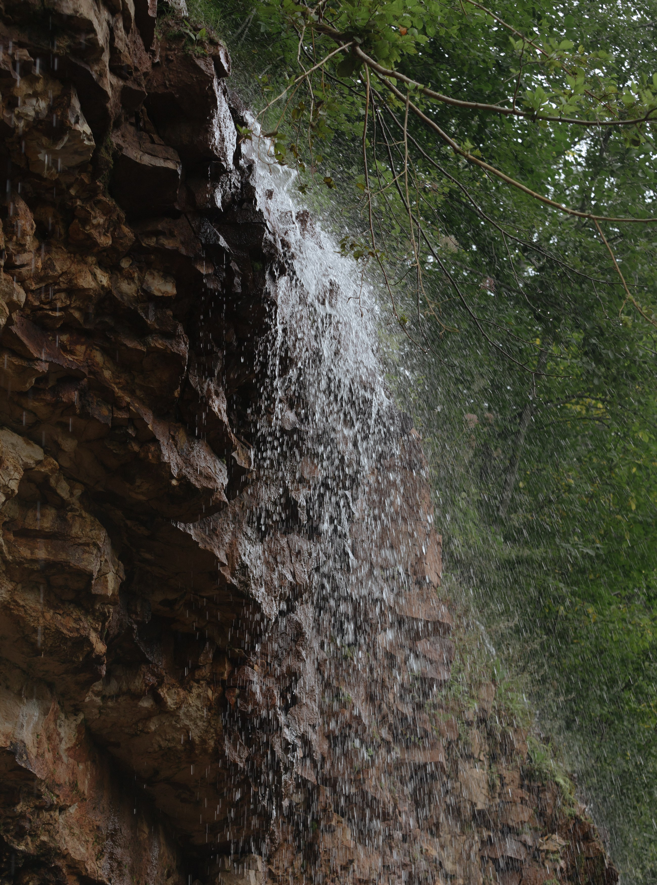 Красота в природе. Портретный фотограф в Санкт-Петербурге Катя Протасевич