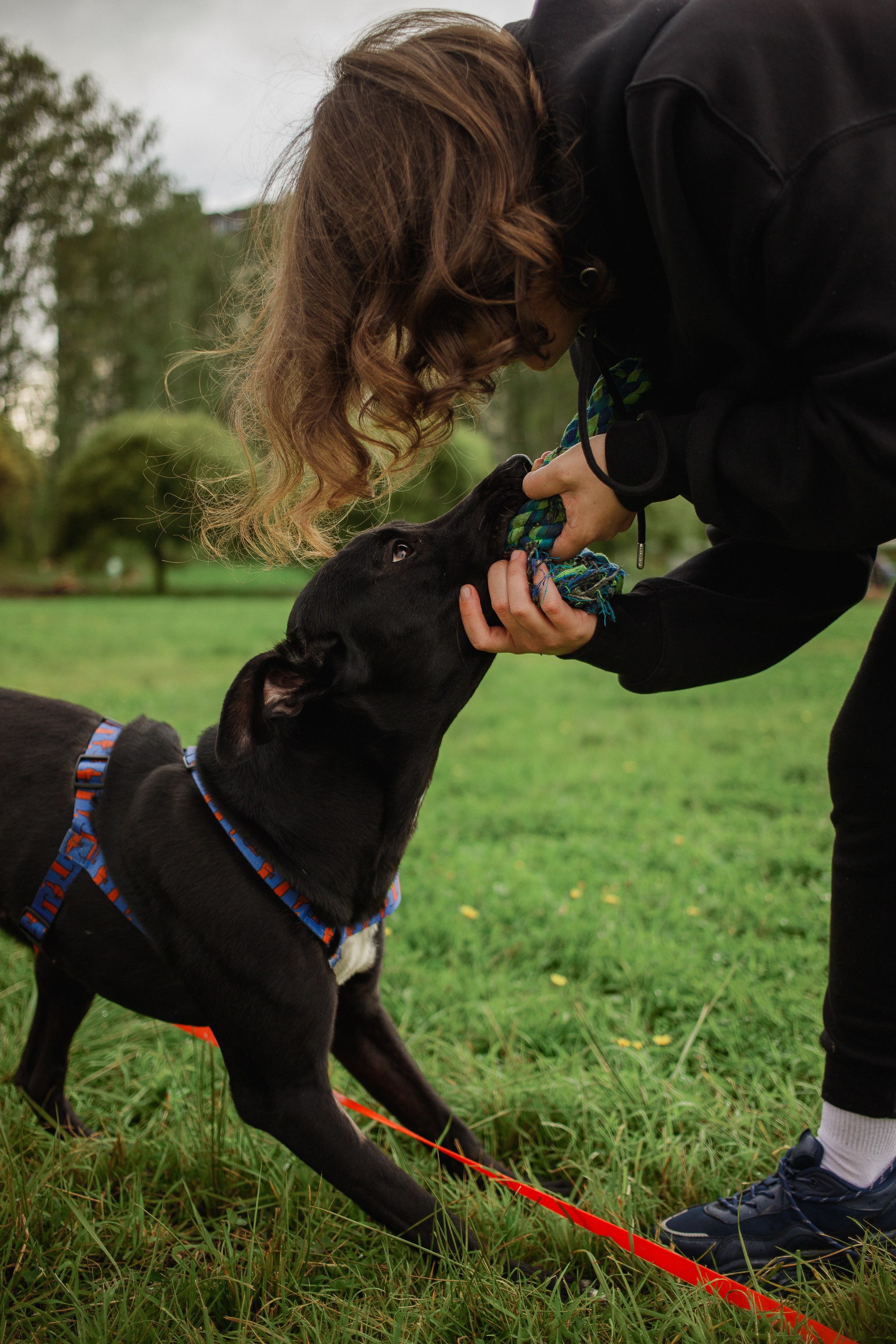 Отис ищет дом. Портретный фотограф в Санкт-Петербурге Катя Протасевич
