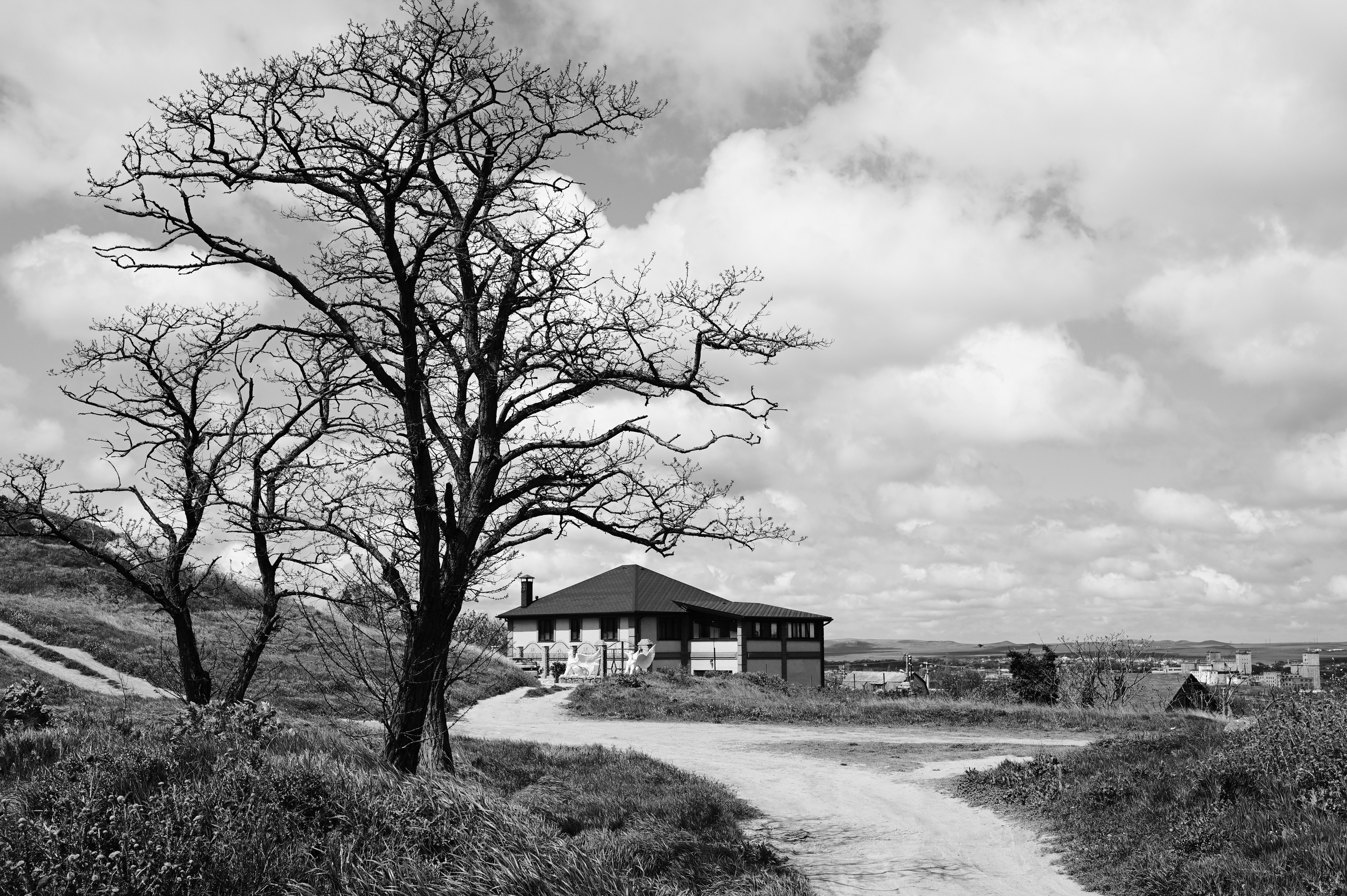 Главная. Крым