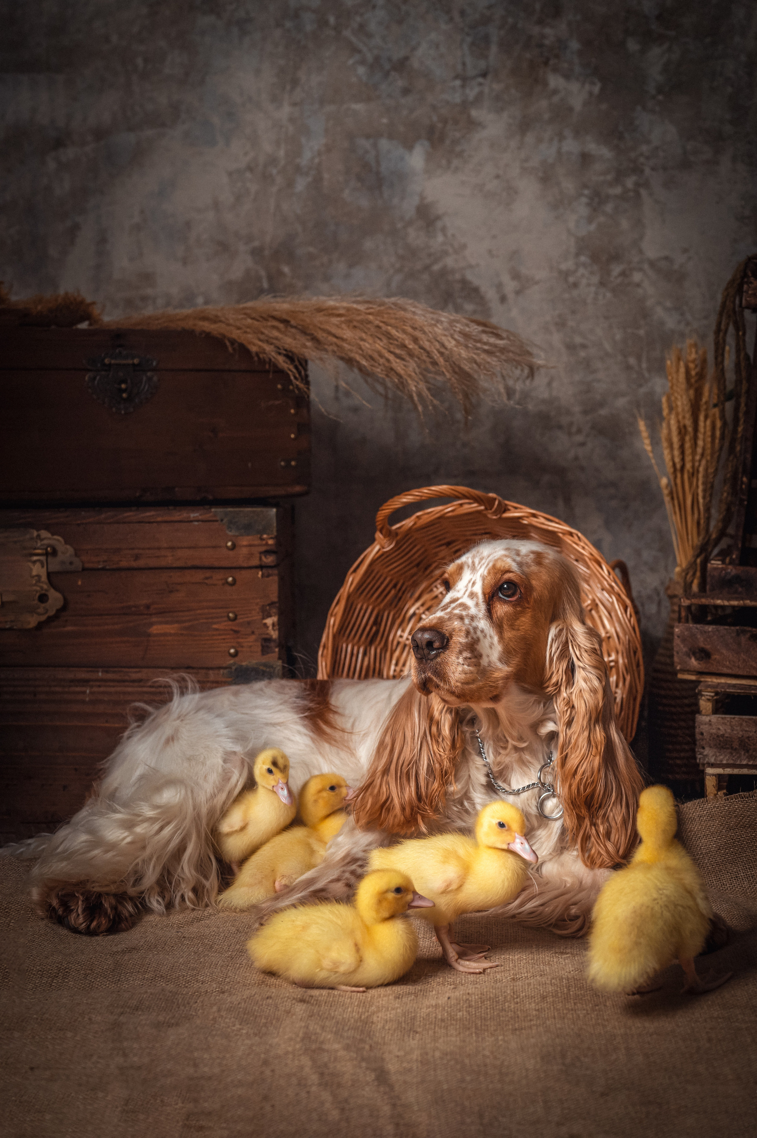 УТЯТА. Семейный и детский фотограф в Канске и Канском р-не, Красноярск и