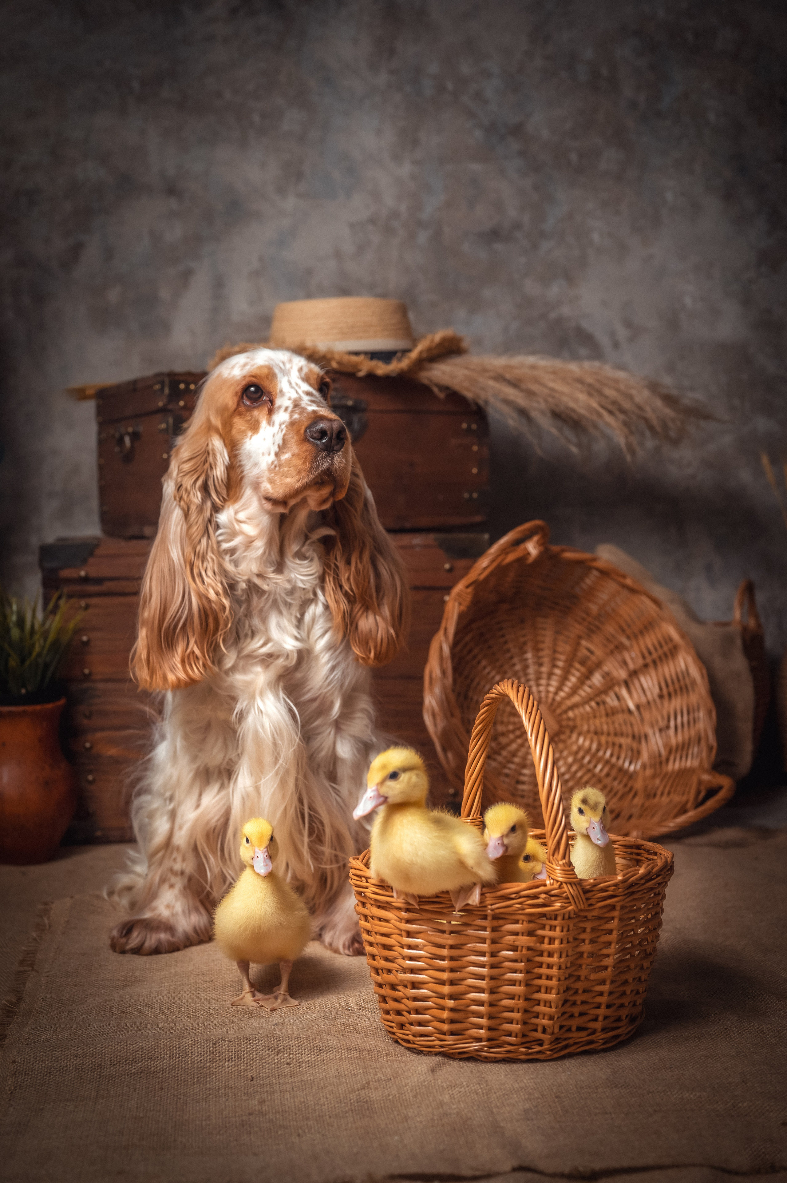 УТЯТА. Семейный и детский фотограф в Канске и Канском р-не, Красноярск и