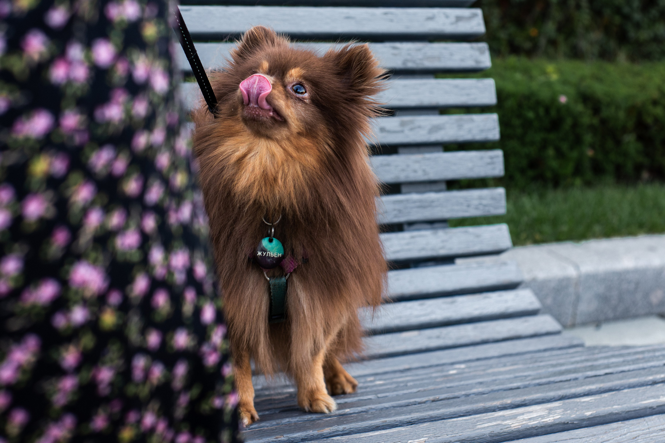 Настя и Жульен. Фотограф-анималист Мария Баркевич | Москва
