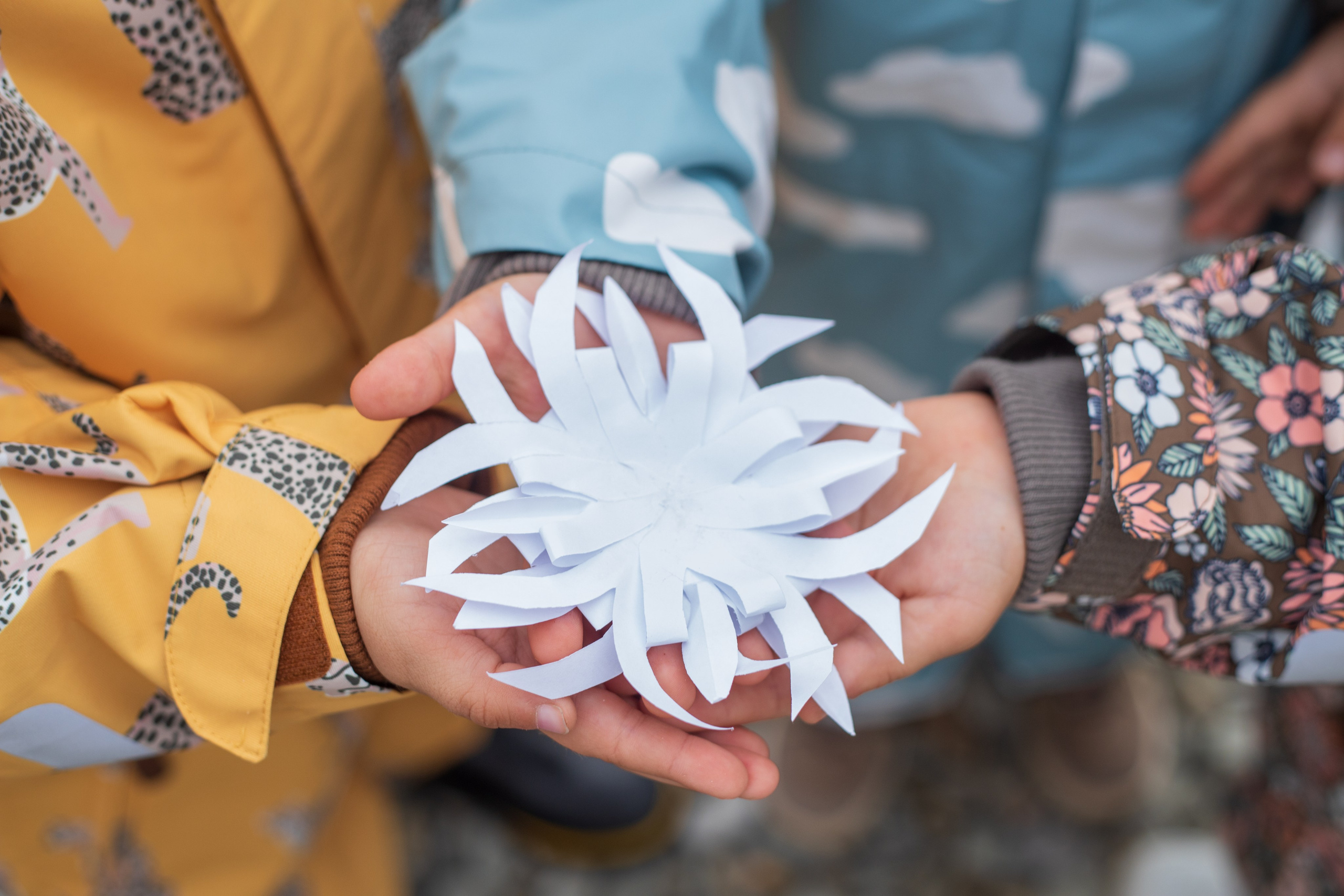 MJOLK. Зима 2023. Римма Зайцева контент для брендов