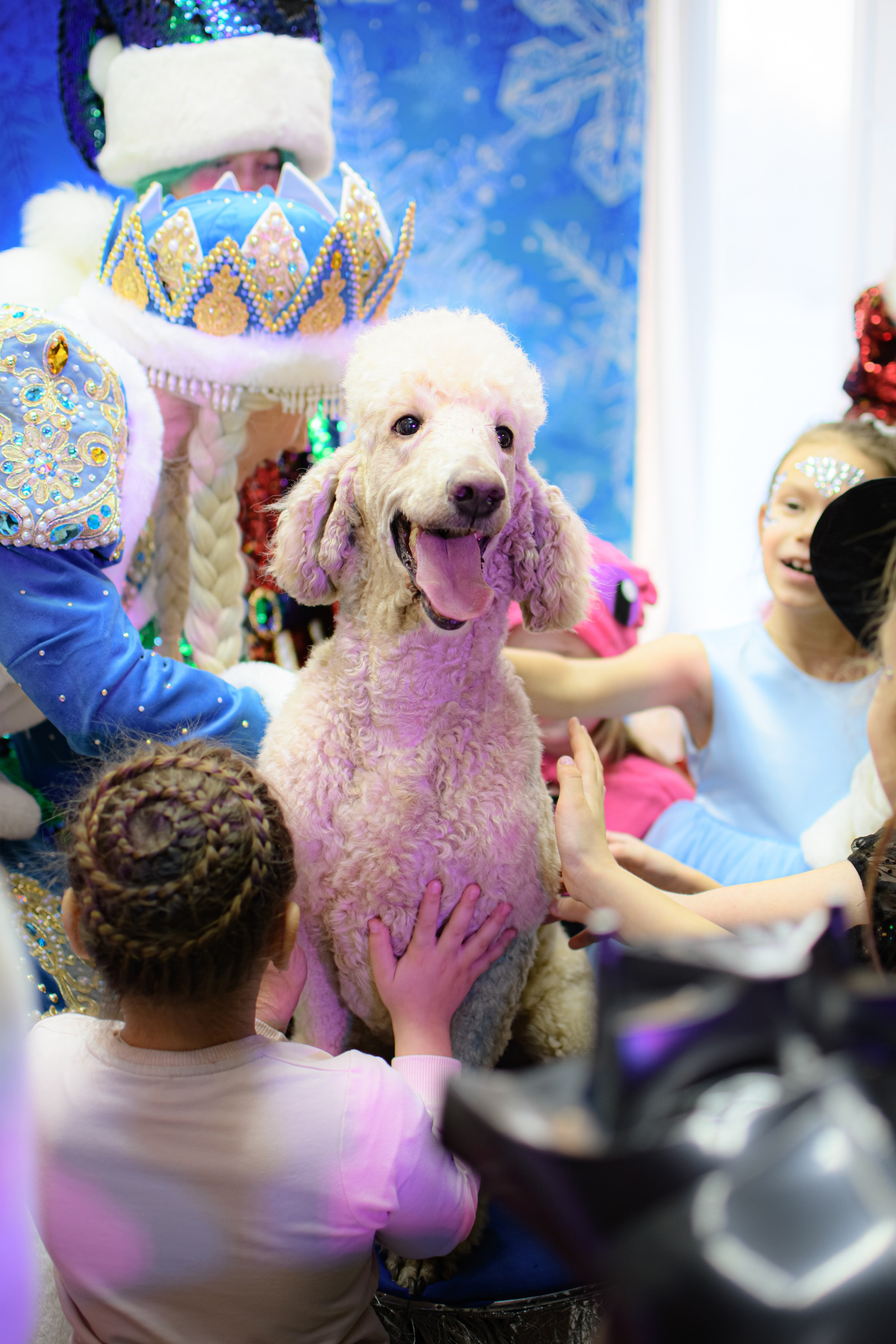 HAPPY NEW YEAR. Photokarish