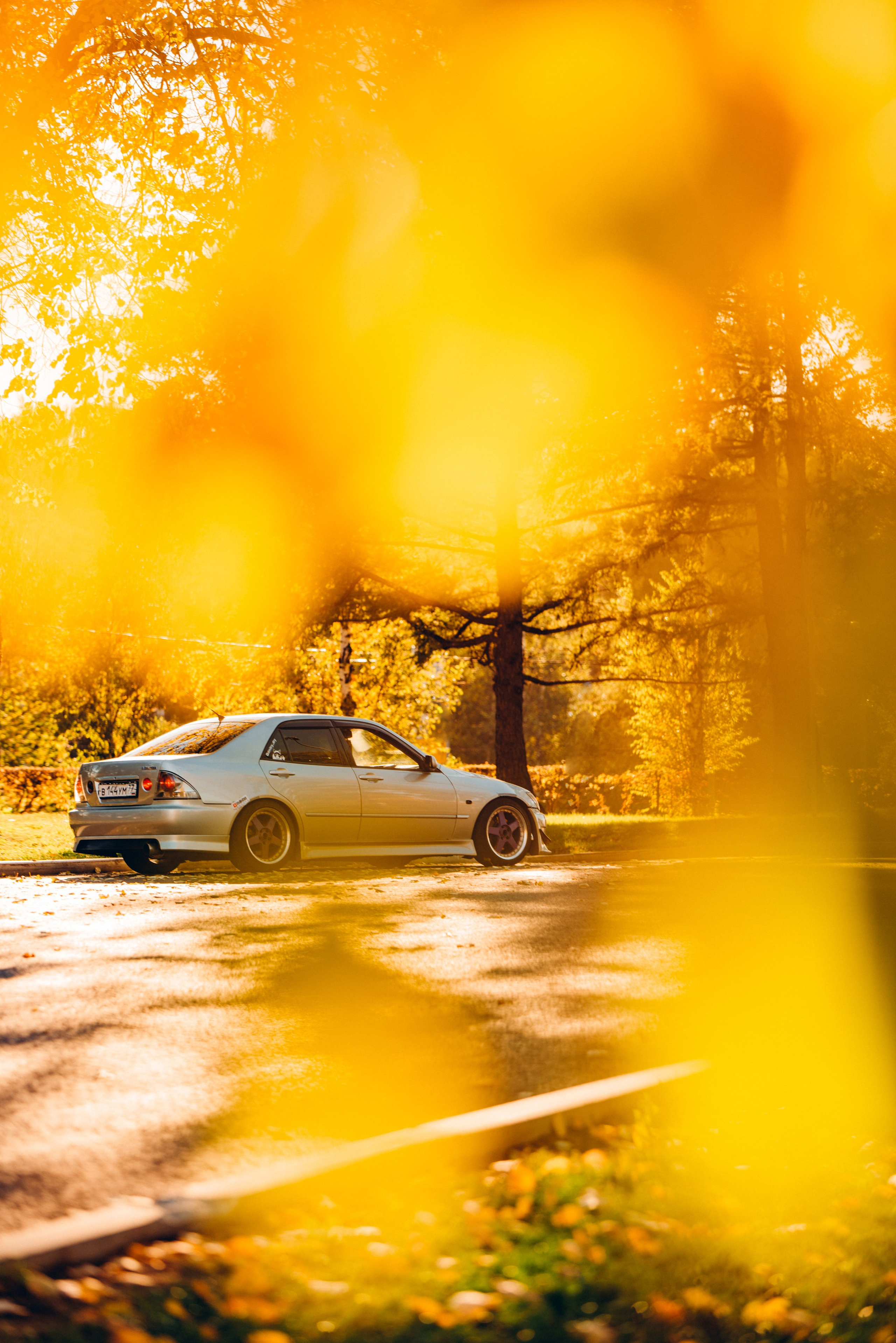 Toyota Altezza dmitry_dry. DeLorein