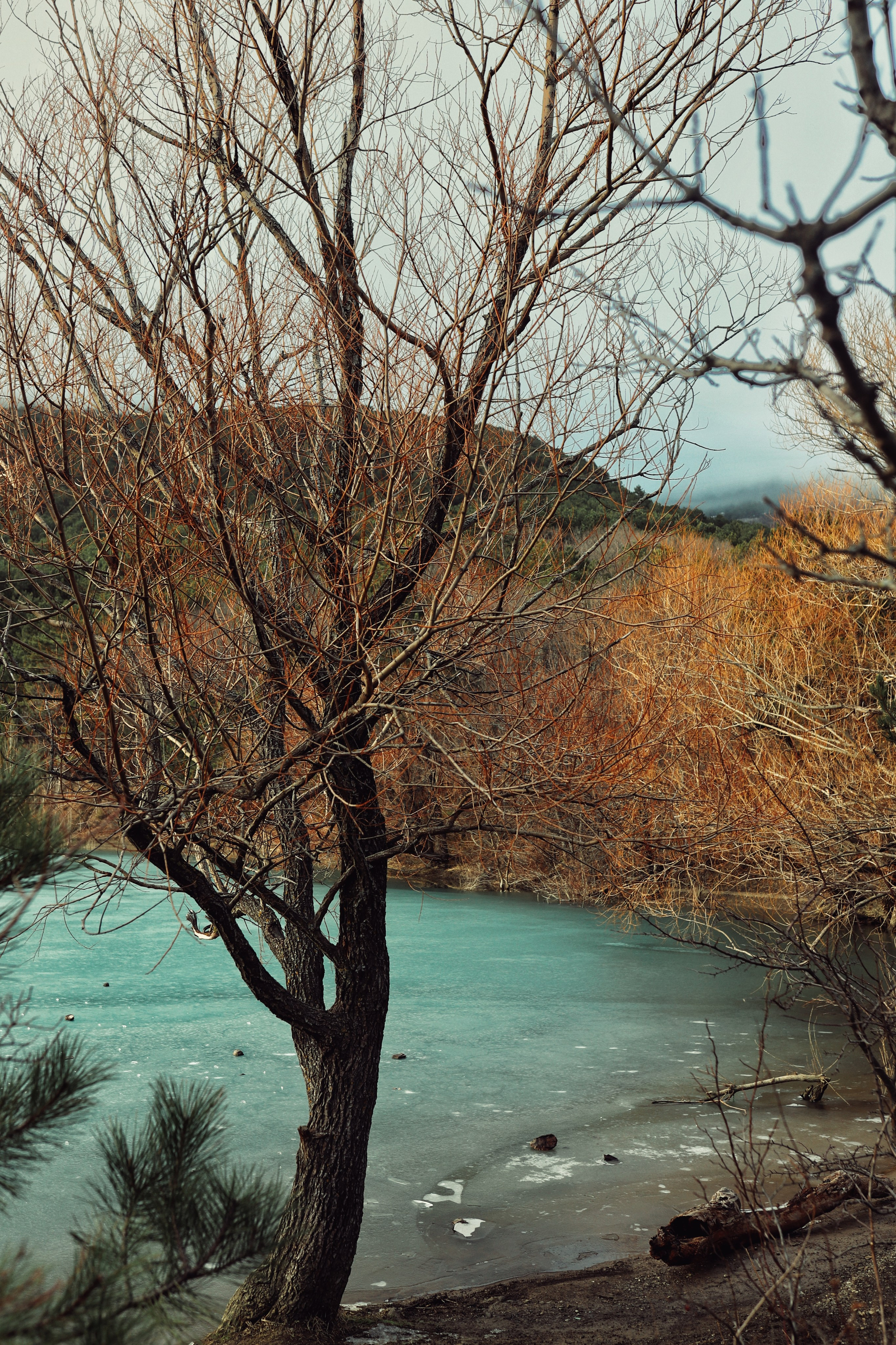 Бирюзовое озеро. Фотограф и видеограф в Санкт-Петербурге