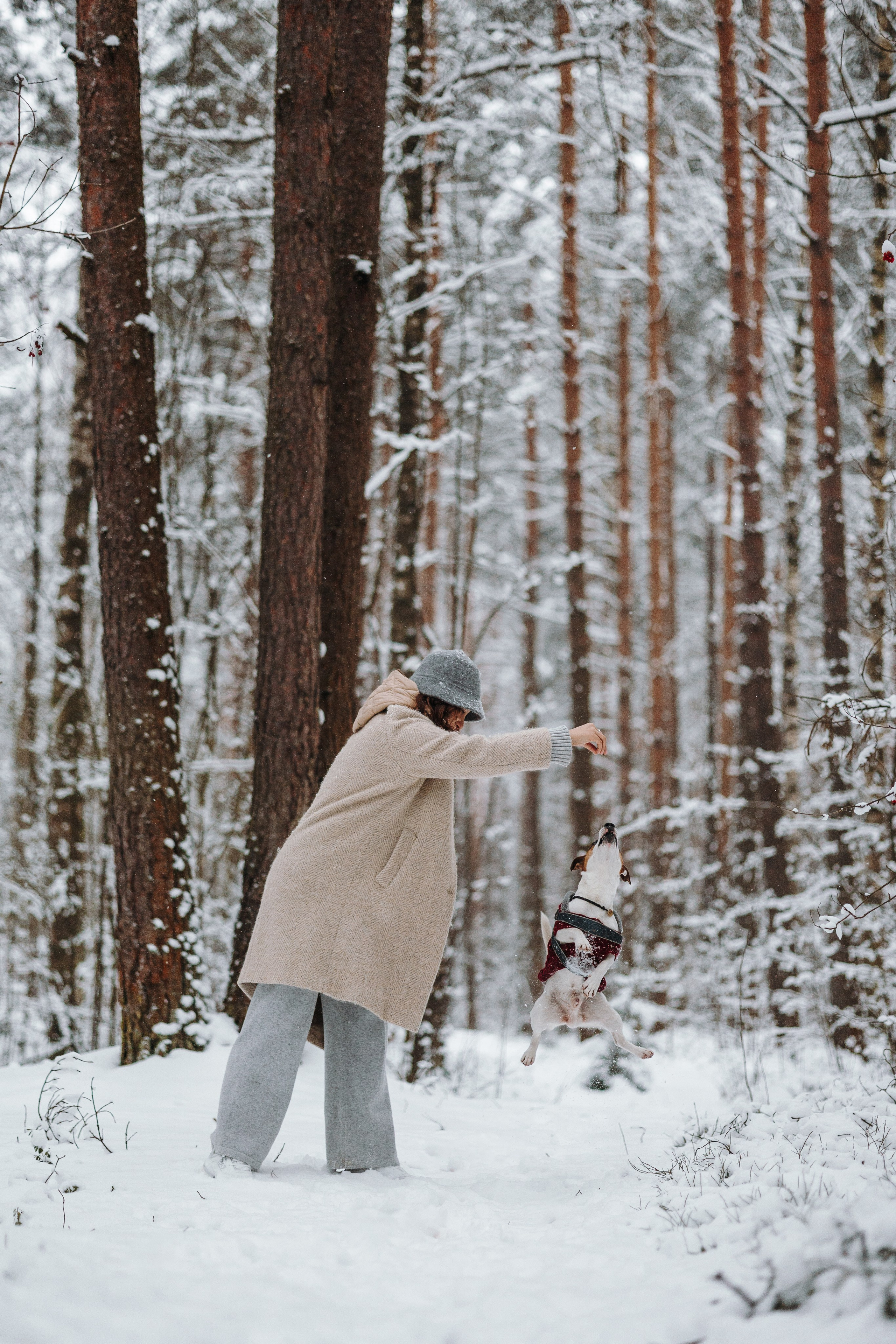 Мики и его семья. Фотограф — Анималист | Санкт-Петербург