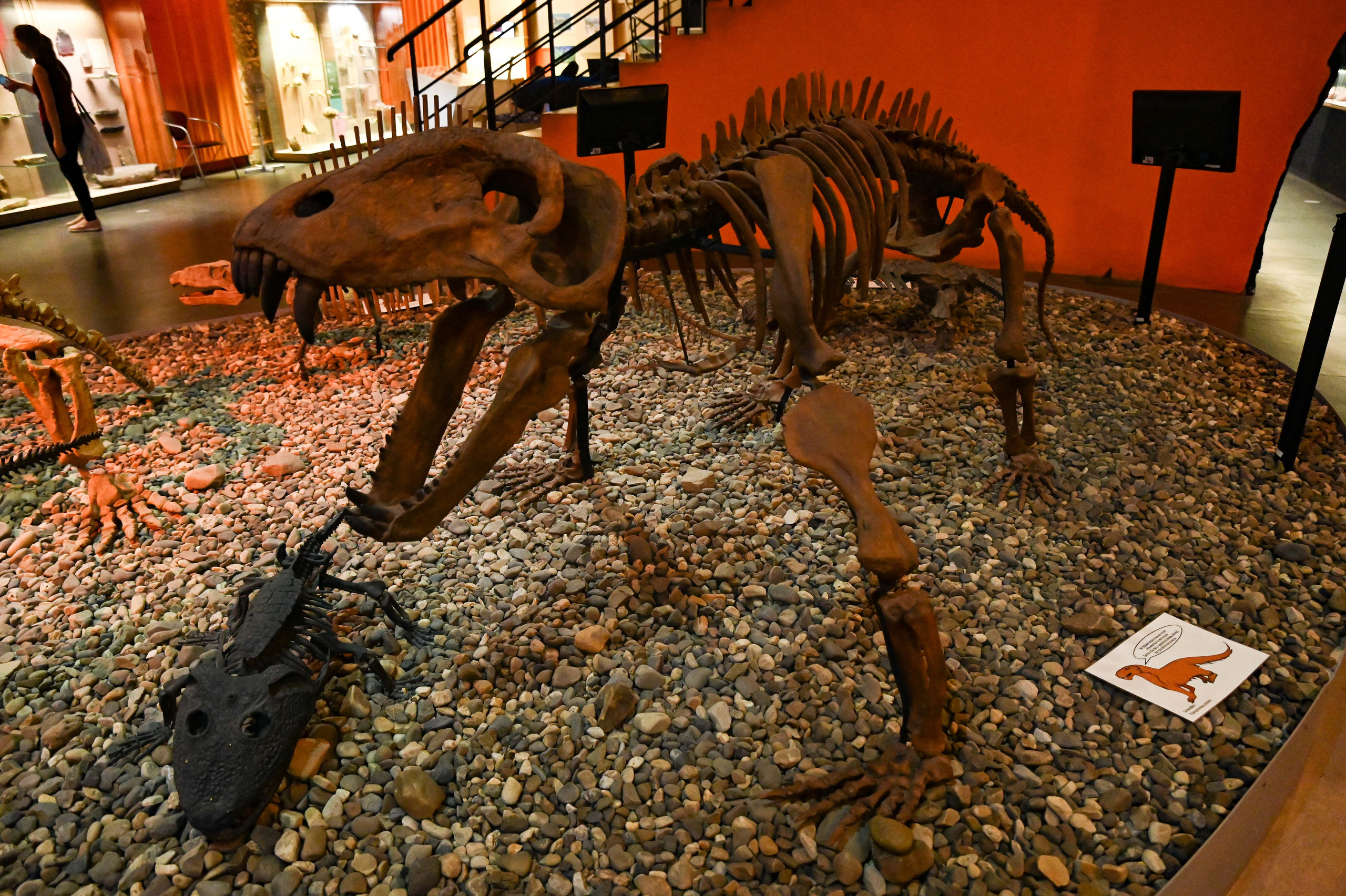 Музей пермских древностей