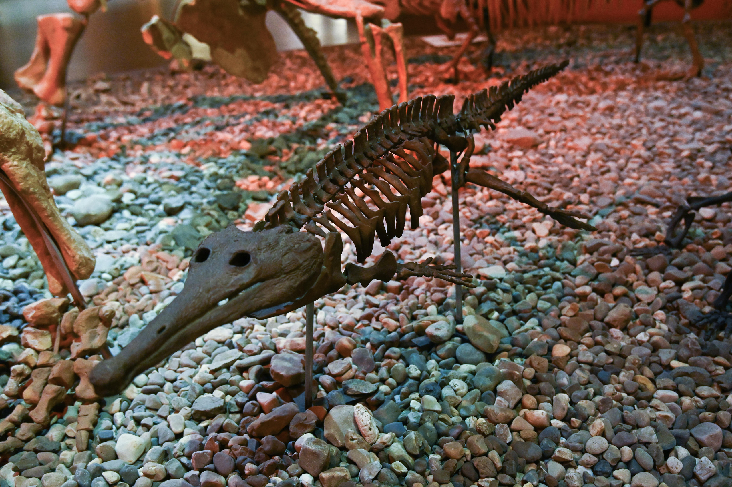 Музей пермских древностей