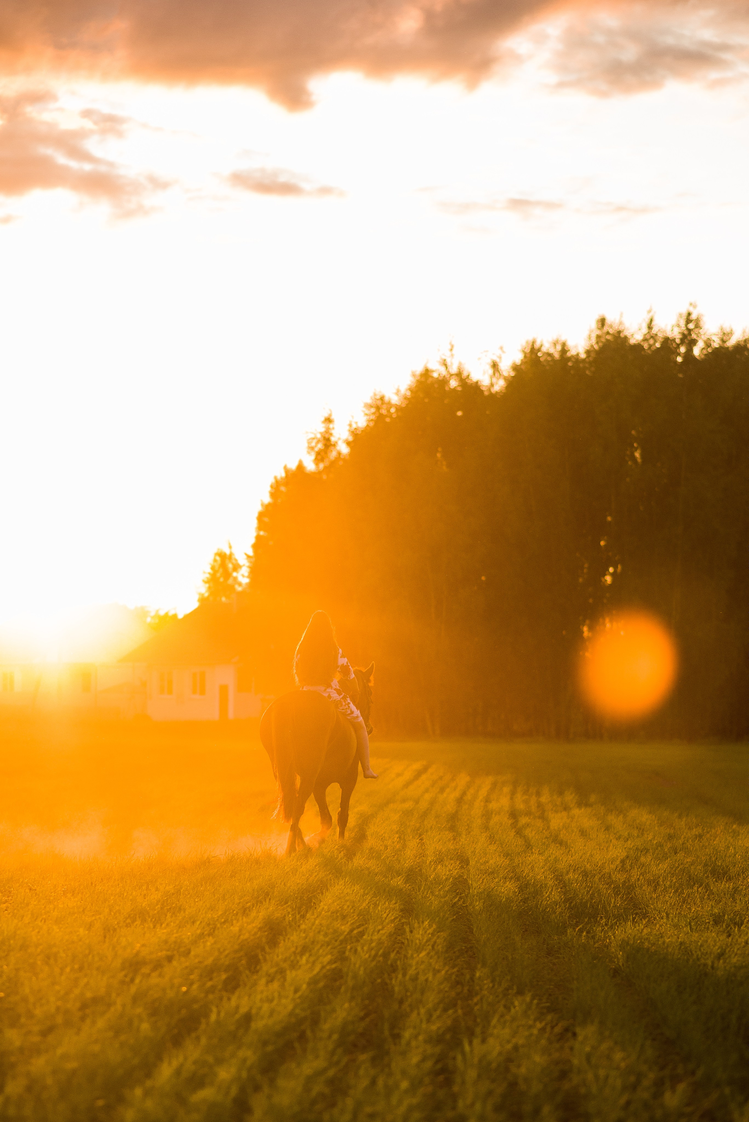Фотограф — Анималист | Анна Абрамова