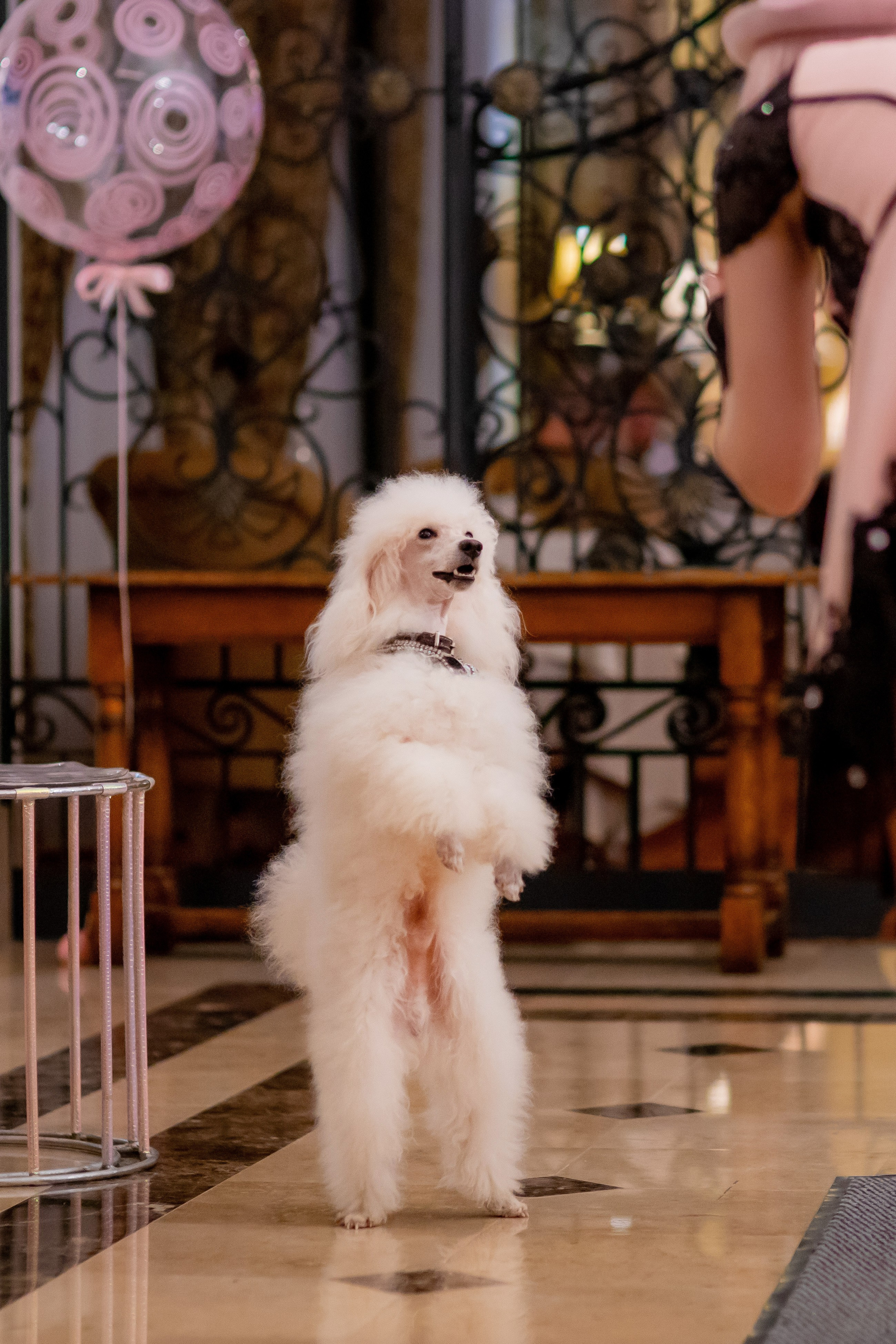 Детские праздники. Семейный фотограф в Москве Владимир Васильев