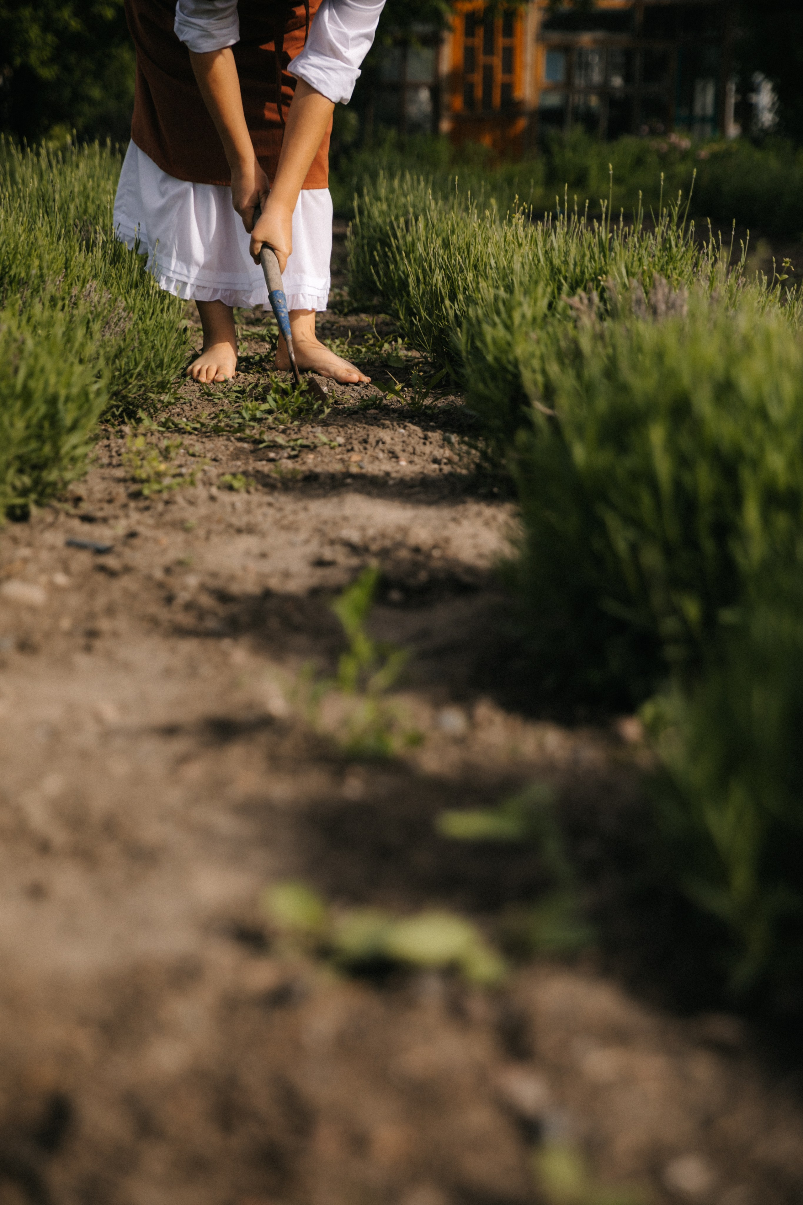 Ферма. Свадебный и семейный фотограф Василина Батищева в Моздоке, Северной Осетии и КМВ