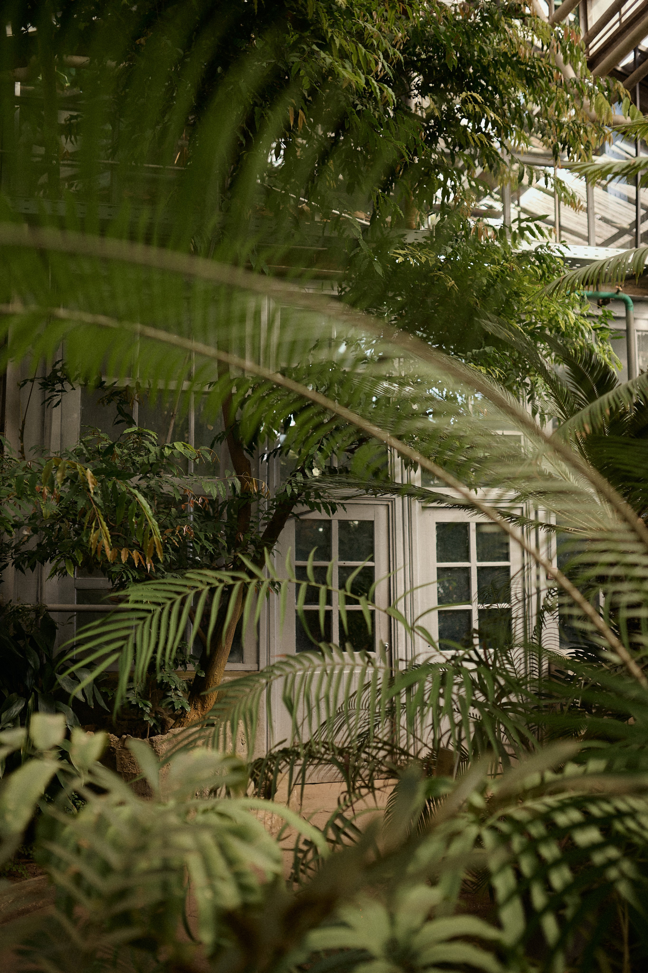 Алиса и Федя. Семейный и свадебный lifestyle-фотограф в Москве Мария Петрова