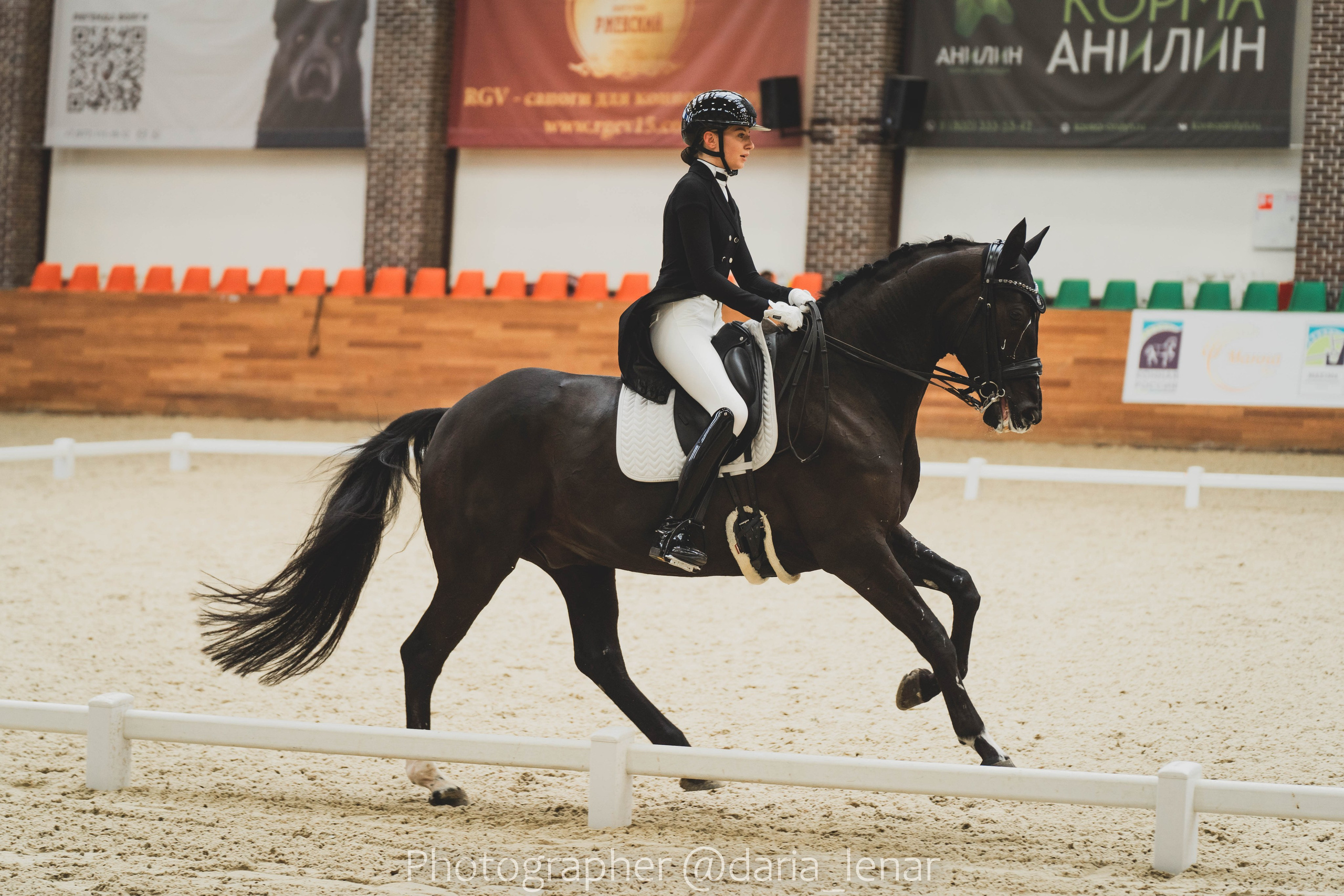 Выездка. Maxima Park. Фотограф в Москве Ленарская Дарья