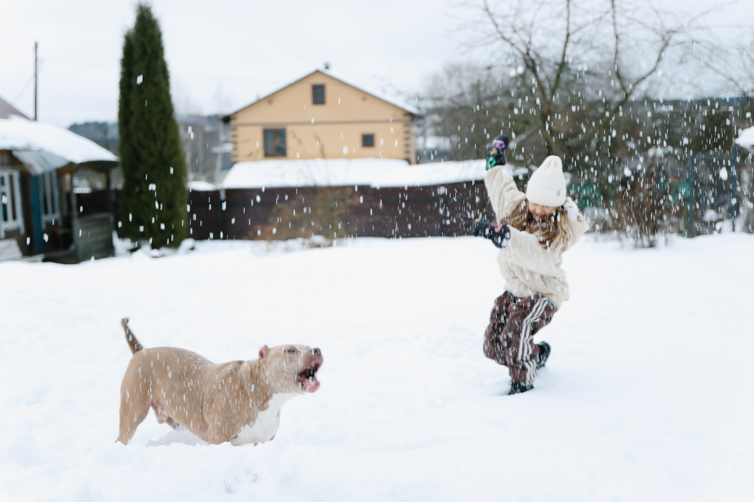 Dasha. Главная