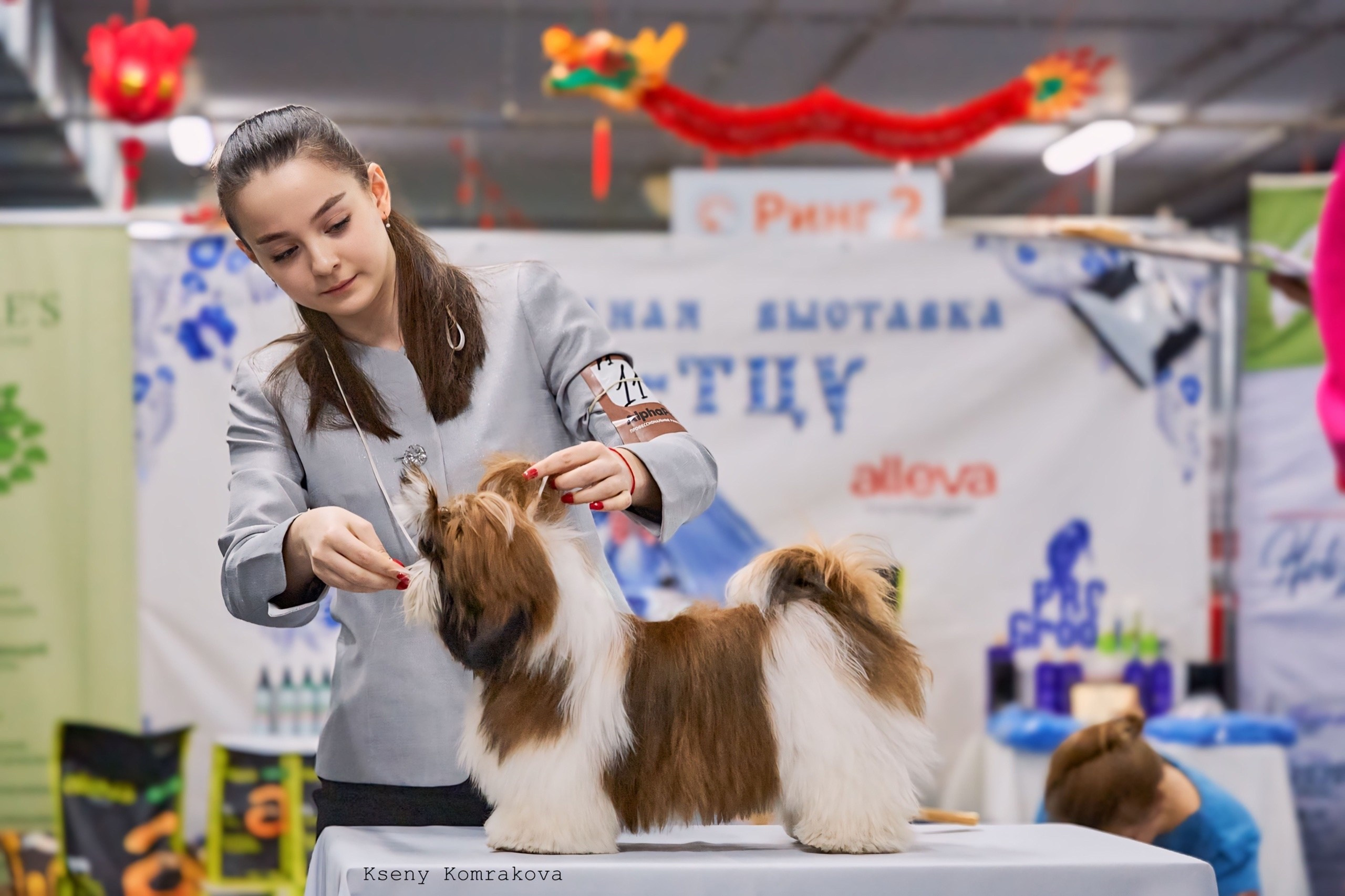 Анималистика. Репортаж. Индивидуальная съемка