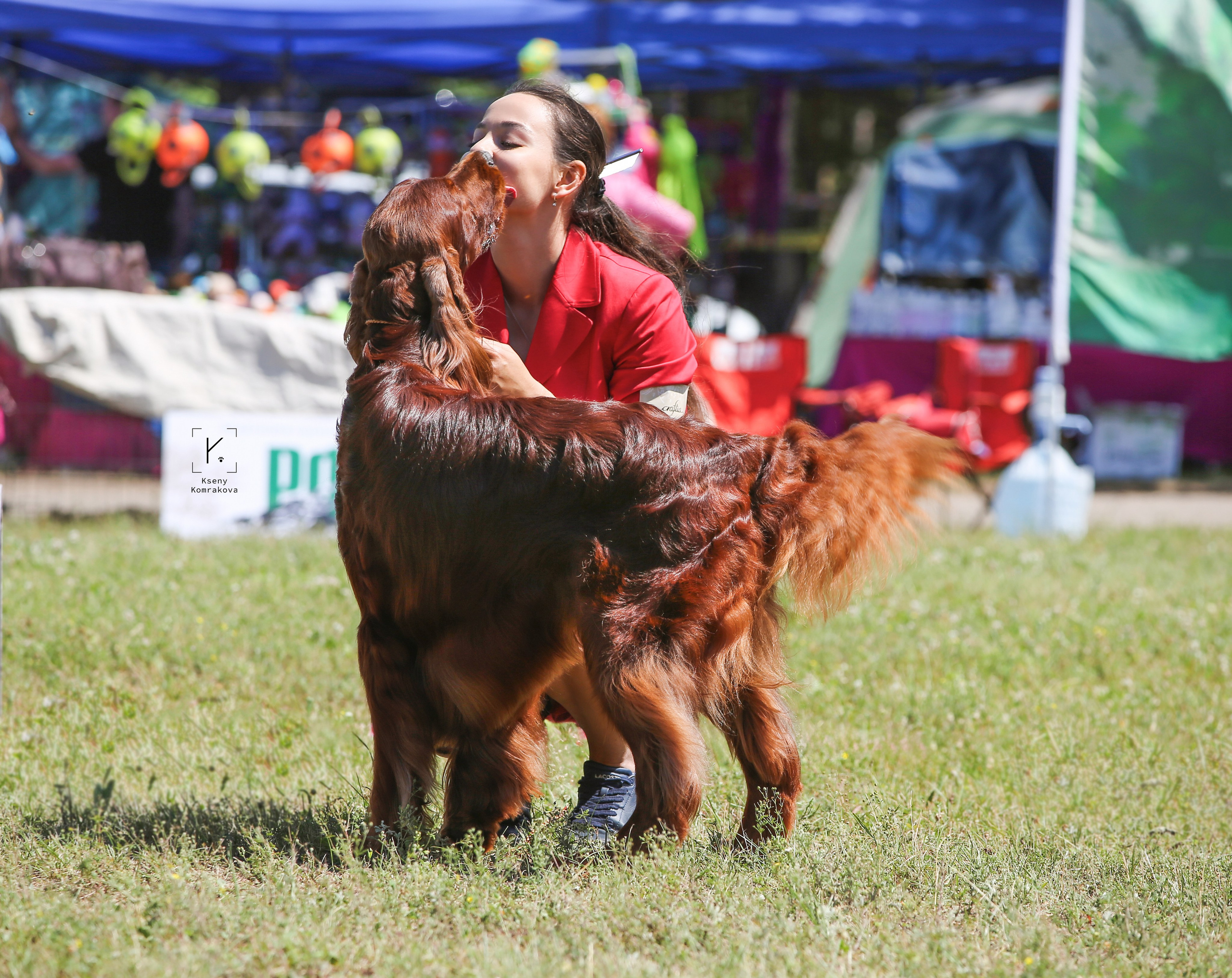 Анималистика. Репортаж. Индивидуальная съемка