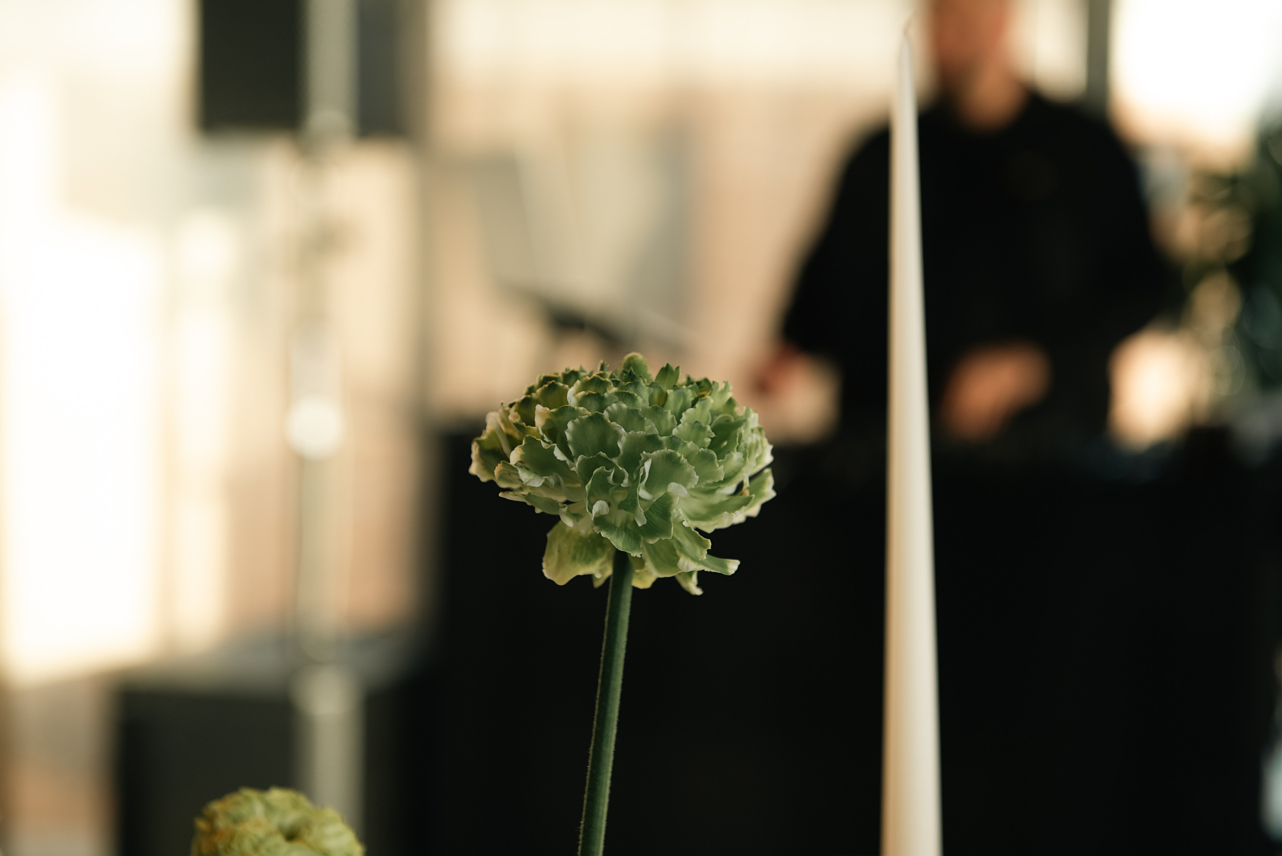 Усадьба Третьякова/ ресторан Аврора. Фотограф, визажист. Москва