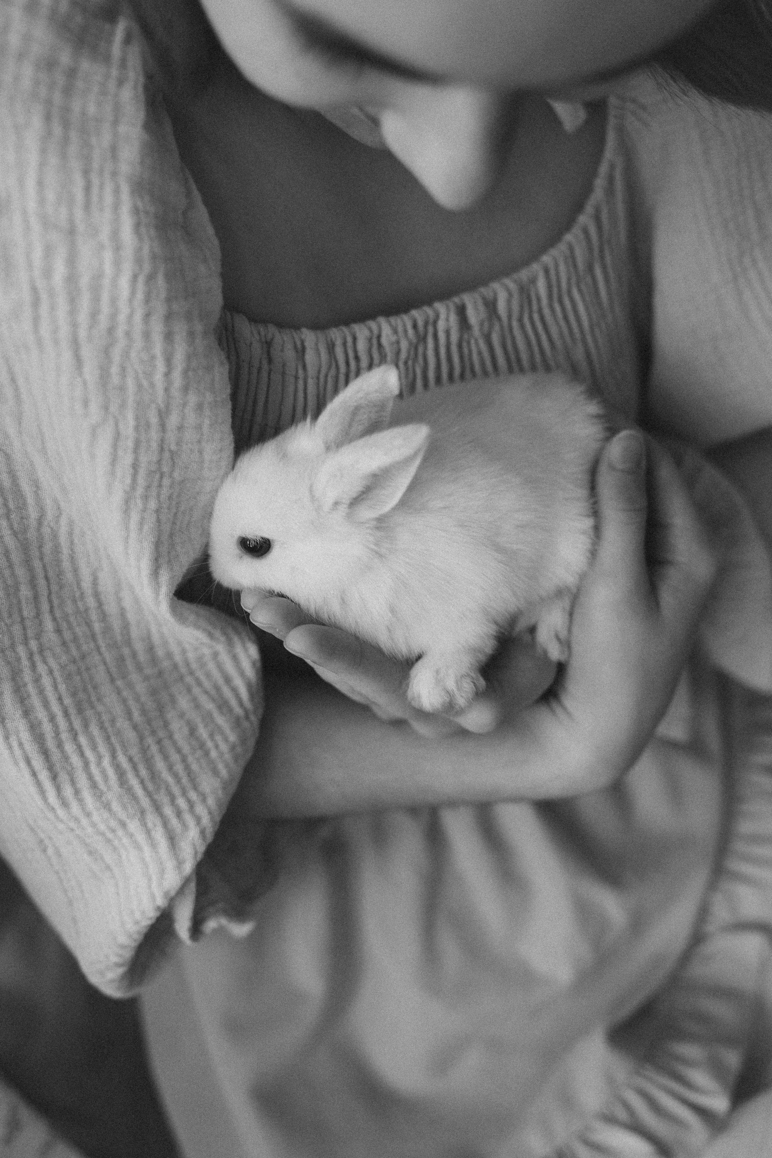 Нюша и Маша. Детская фотосессия Дом Элли г. Пушкино. Семейный и детский фотограф в Сергиев Посаде, Хотьково Якимчук Любовь