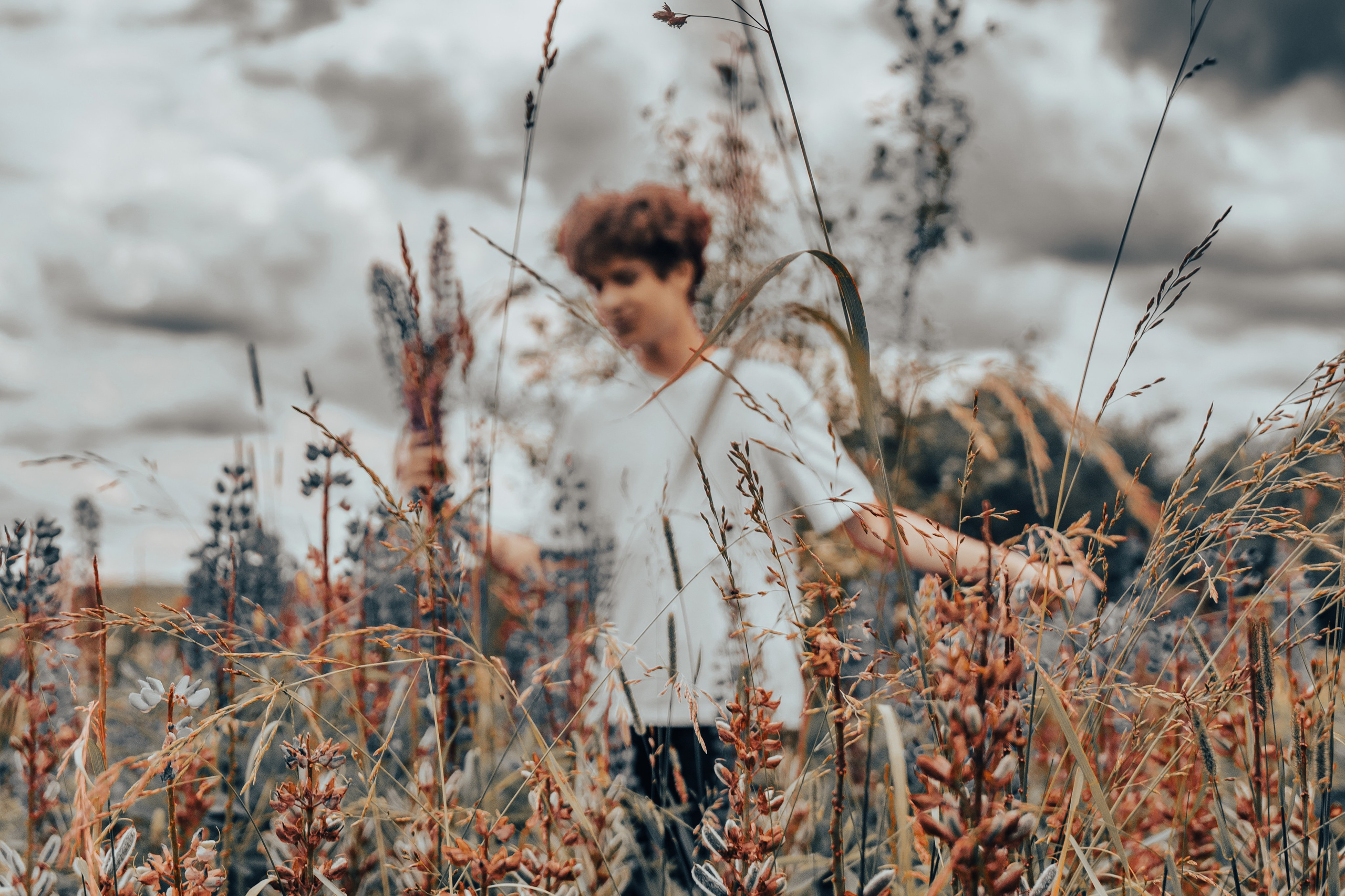 Фотосессия в поле. ТриМедиа Продакшн