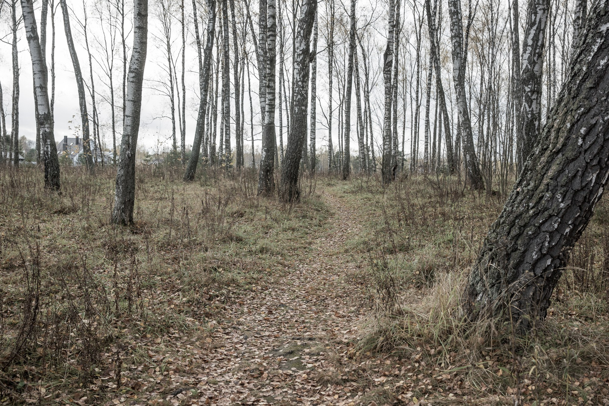 Мы прорастем травой. Yulia Nevskaya, documentary photographer and photojournalist