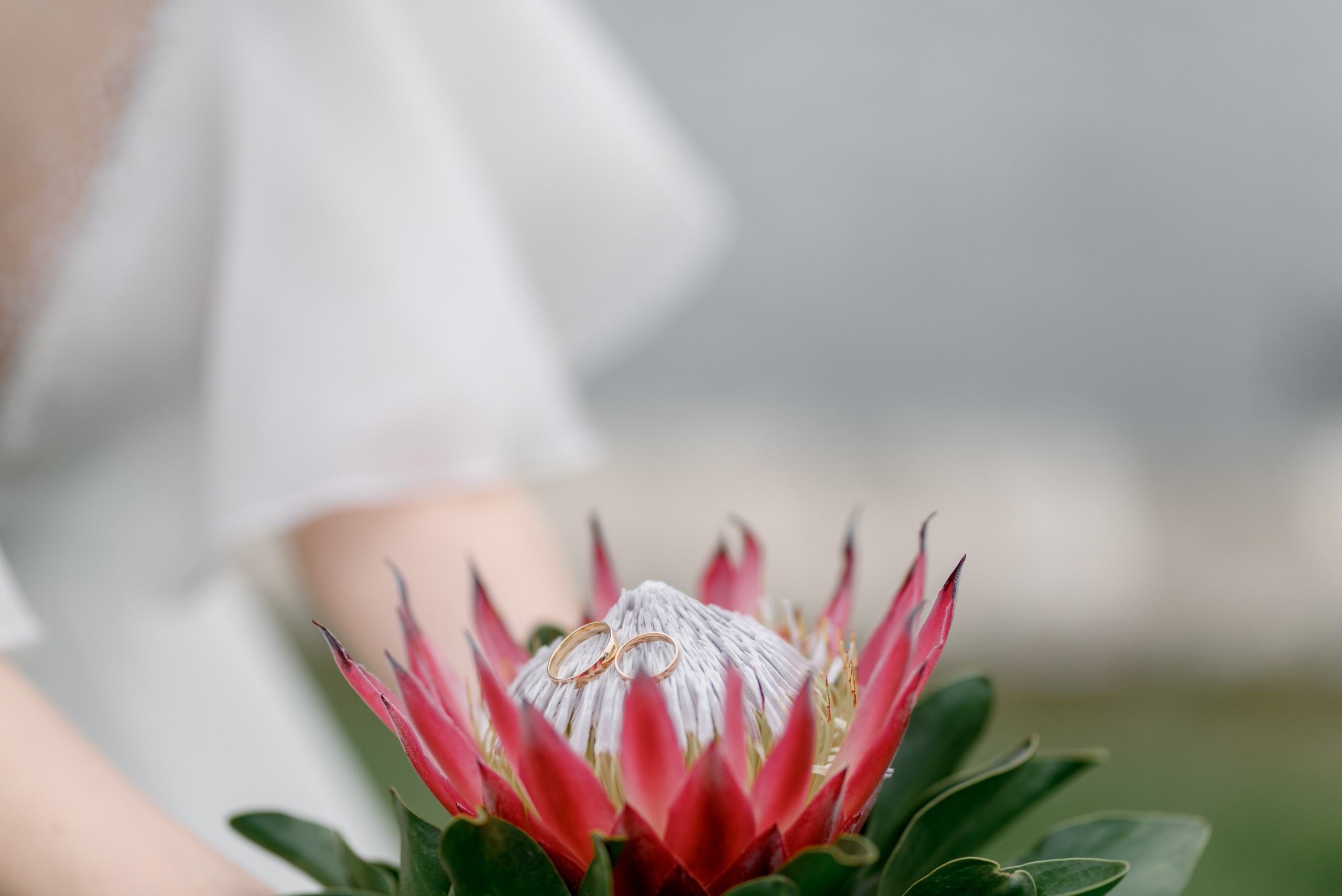 Илья и Наташа. Фотограф Анна Абрикосова