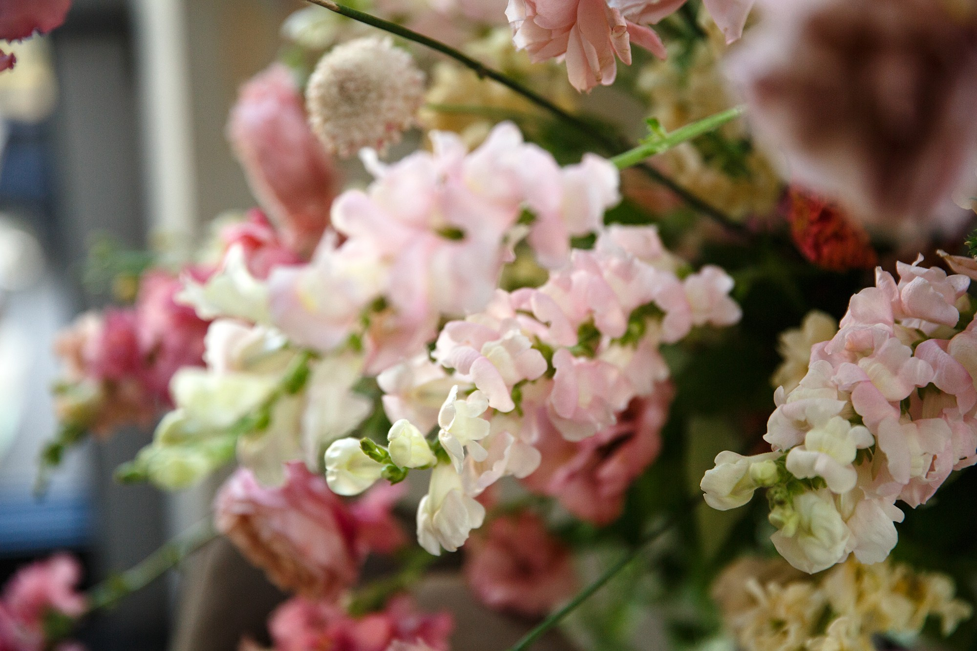 Social Club (Sezony). Свадебный фотограф в Санкт-Петербурге Наталья Вендт