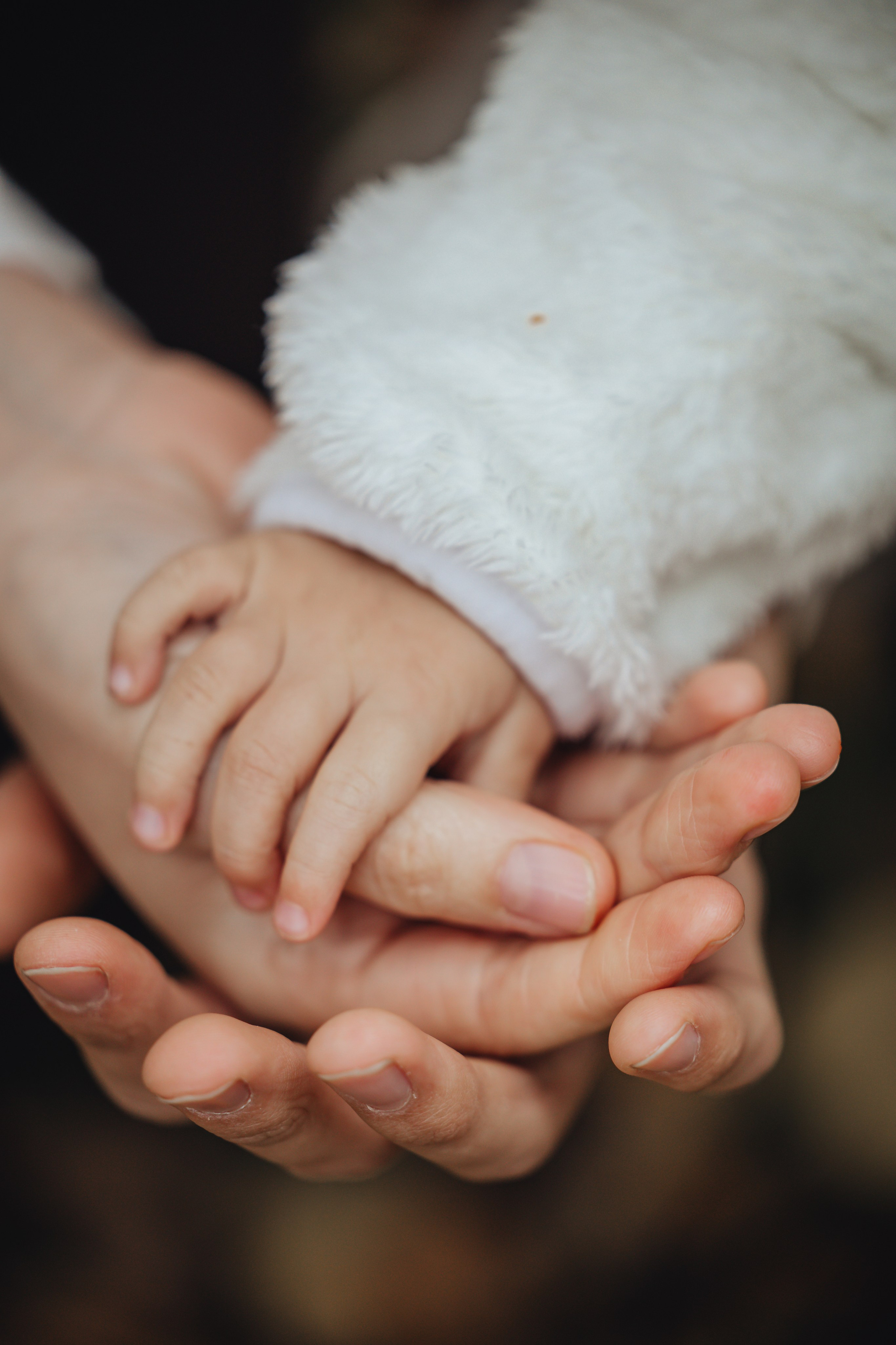 Семейная фотосессия. Свадебный и семейный фотограф Клименко Диана Томск| Кемерово|Москва