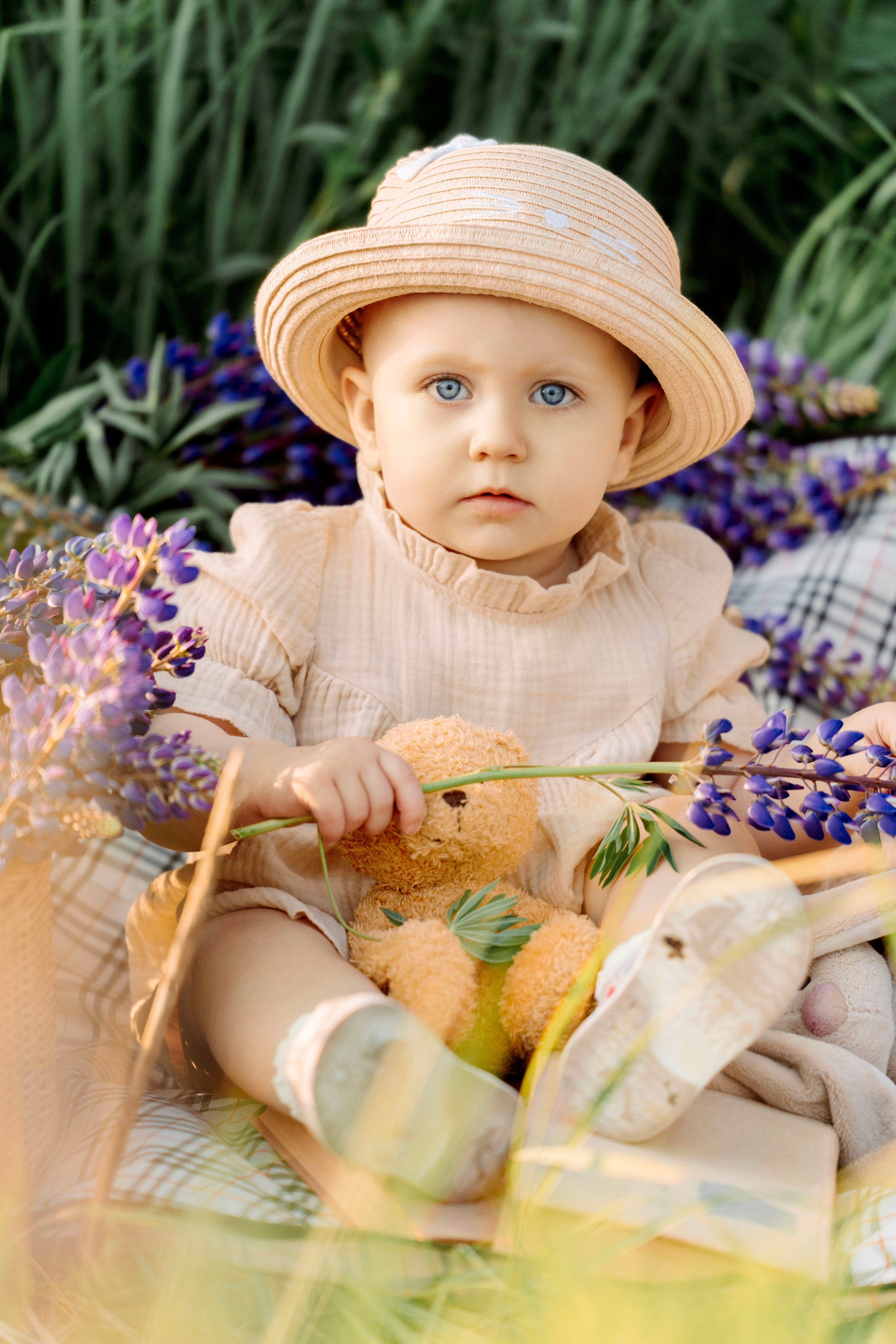 Люпины. Фотограф Юлия Попова