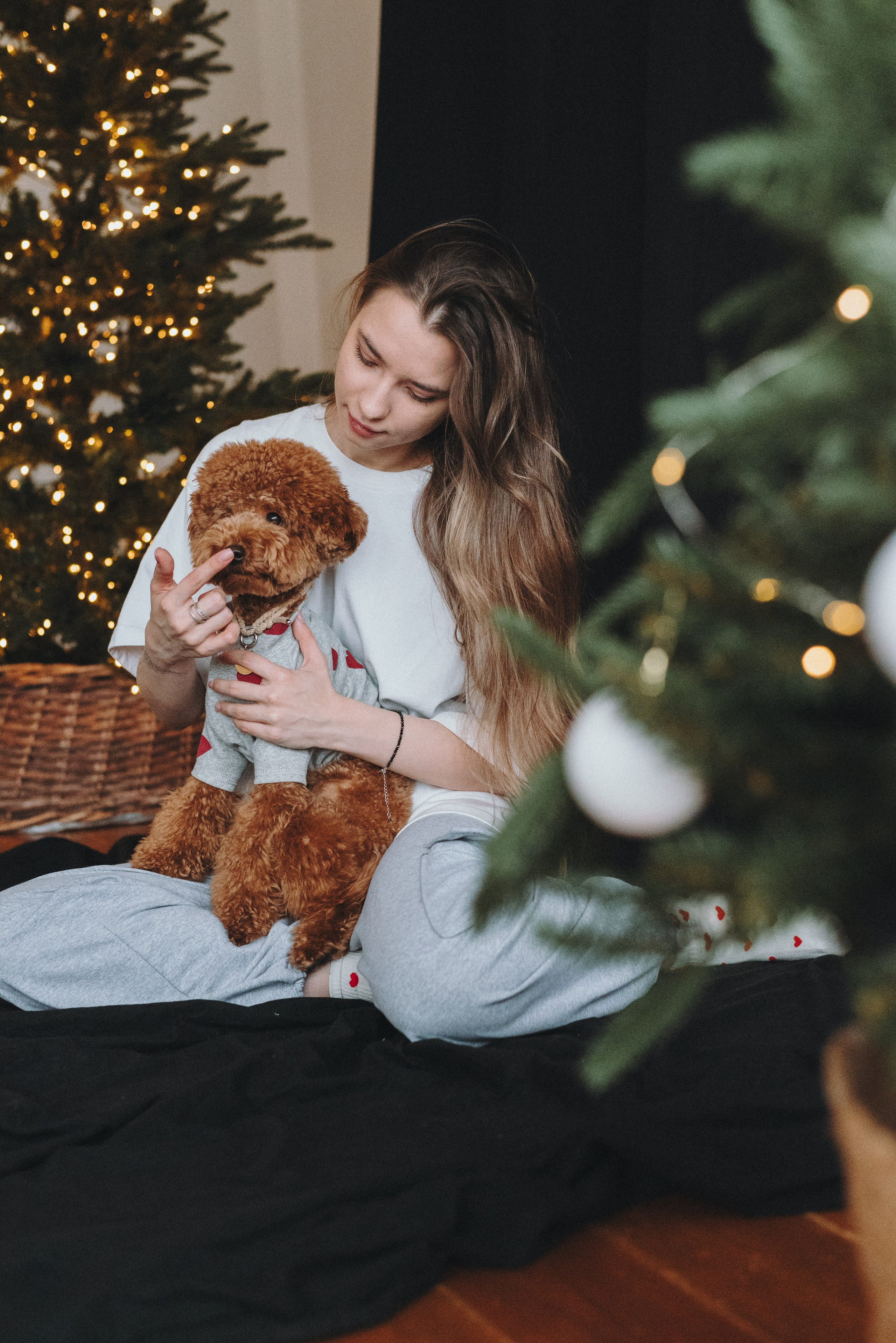 Alena & Marsel. Natalia Finch Photography — Family, Kids & Pet Photographer in Chicago, IL