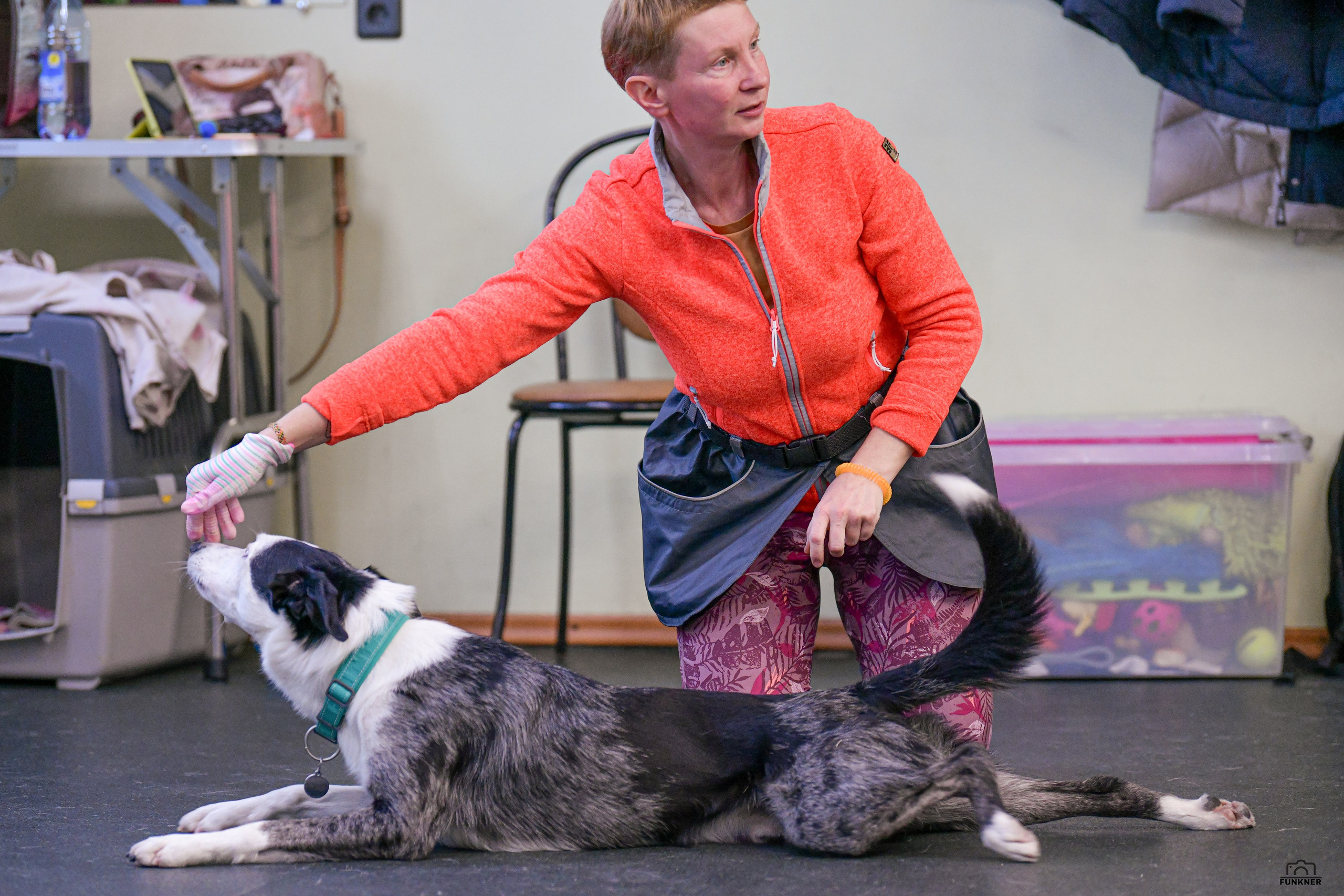 Кинологический клуб «Бодрый хвост». Свой взгляд через объектив