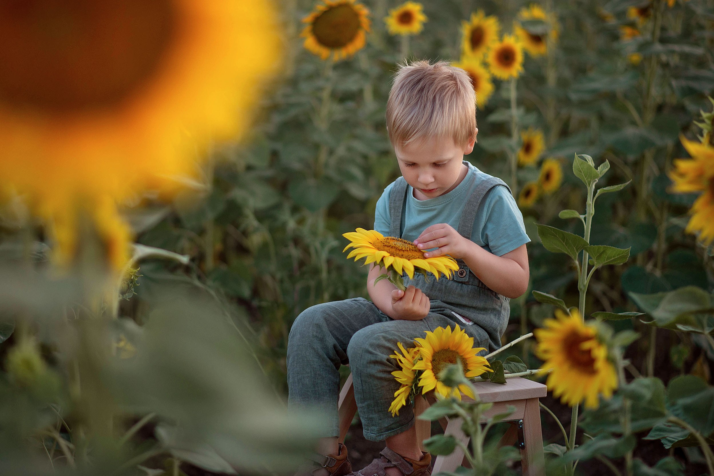Портфолио. Семейный и детский фотограф Наташа Куршина. Новороссийск|Краснодар