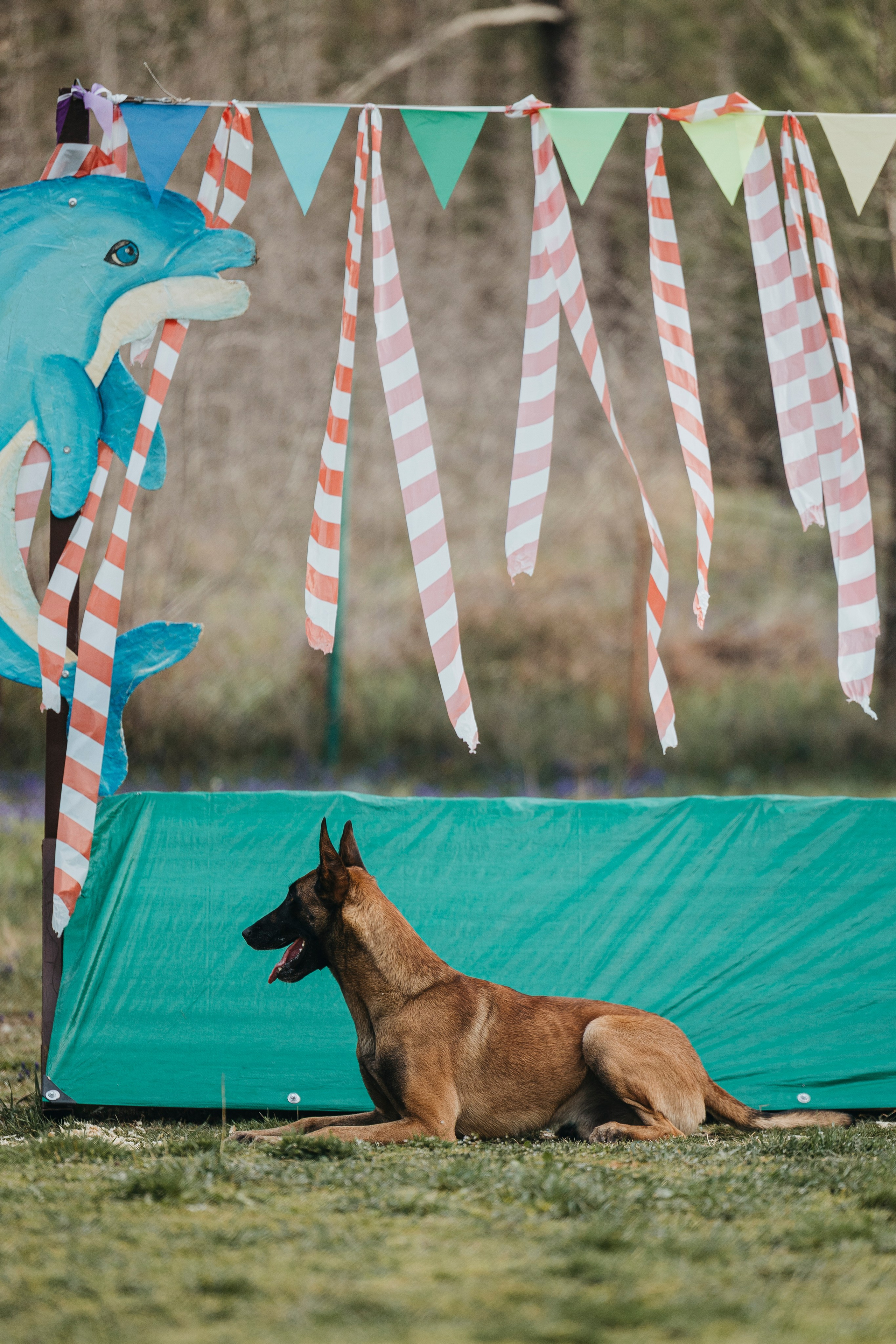 Геленджик Мондьоринг. Фотограф-анималист Анна Маринич
