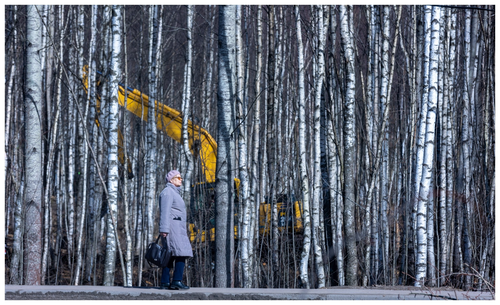 Spring. Photo project