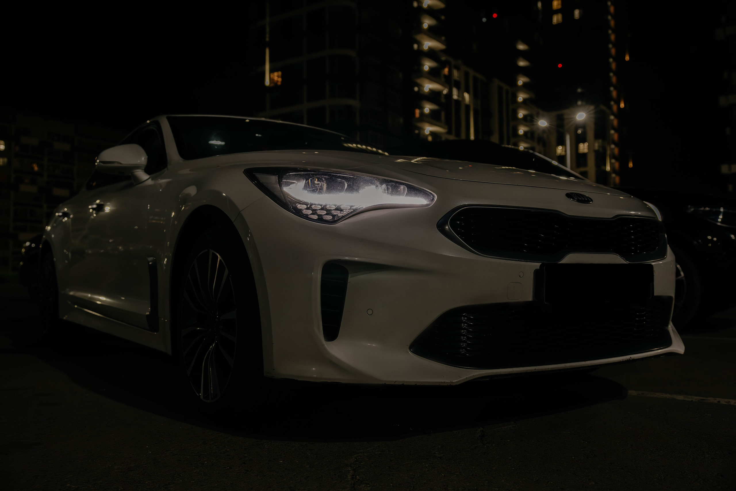 . Фотограф Арина Елизарова