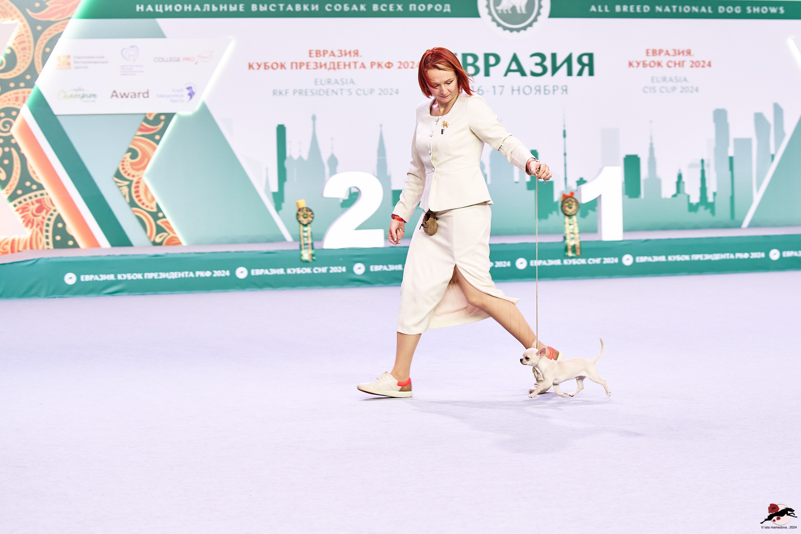 16.11.2024 «ЕВРАЗИЯ. КУБОК ПРЕЗИДЕНТА РКФ 2024»