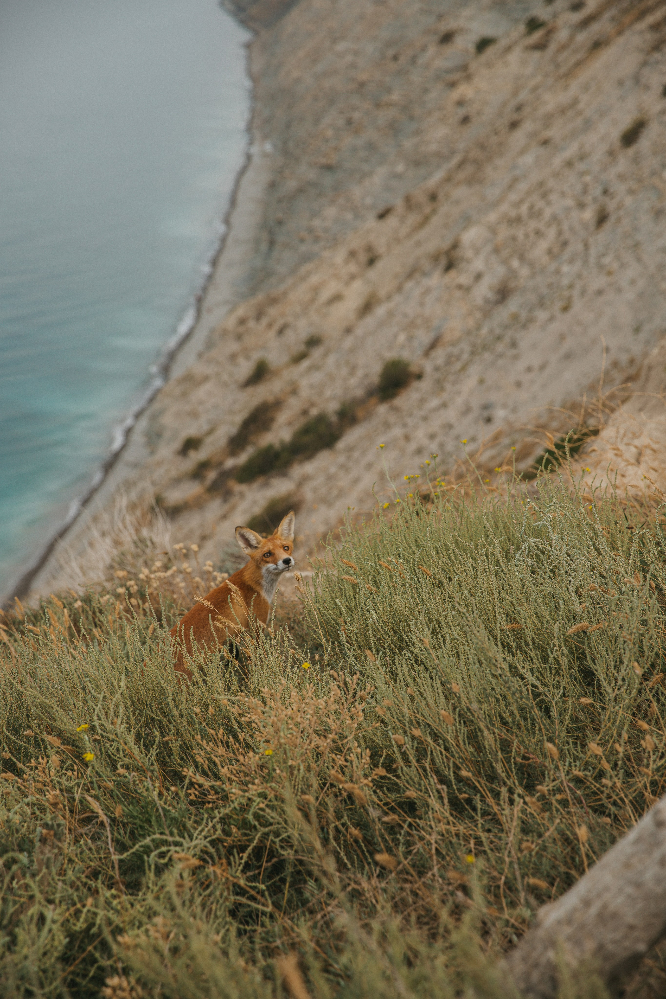 В автокемпинге Рай