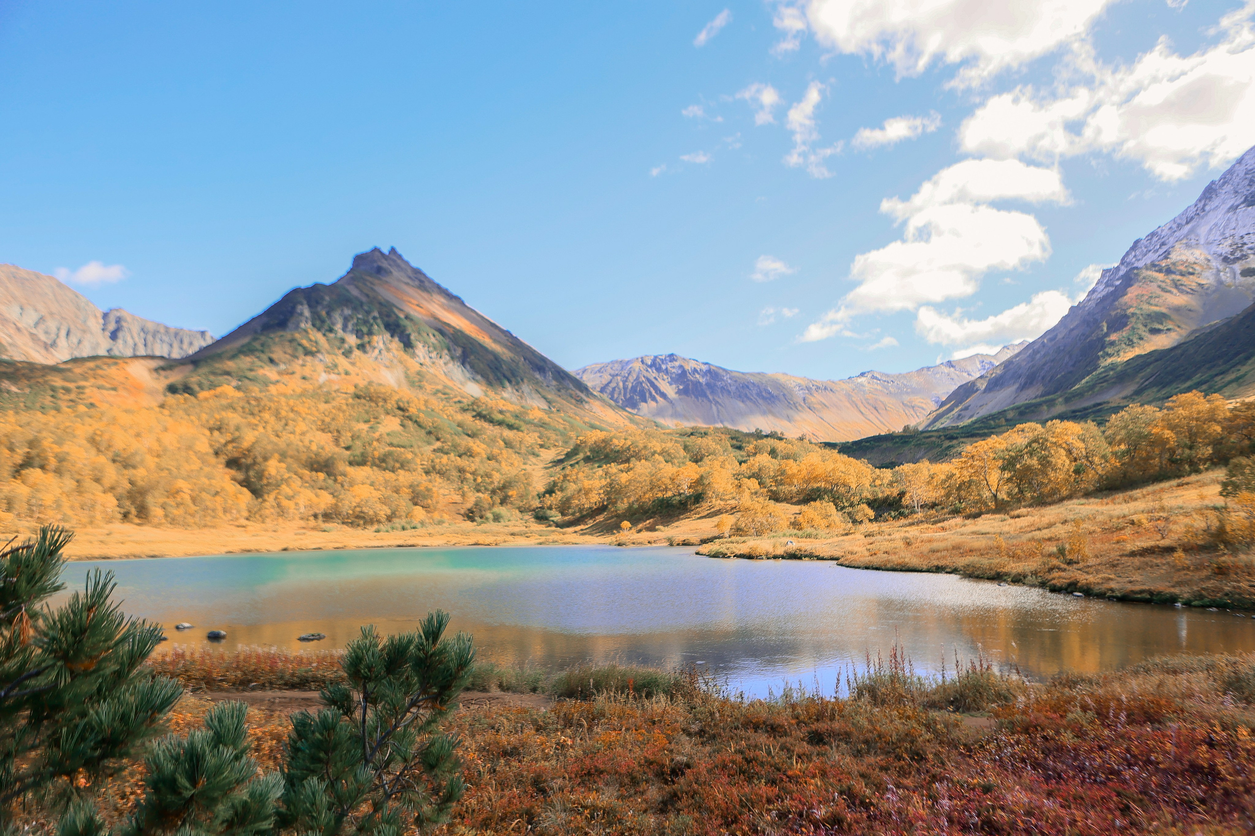 Осенняя Виктория. ФОТОГРАФ КАМЧАТКА ИРИНА БЕЛОКРЫЛОВА