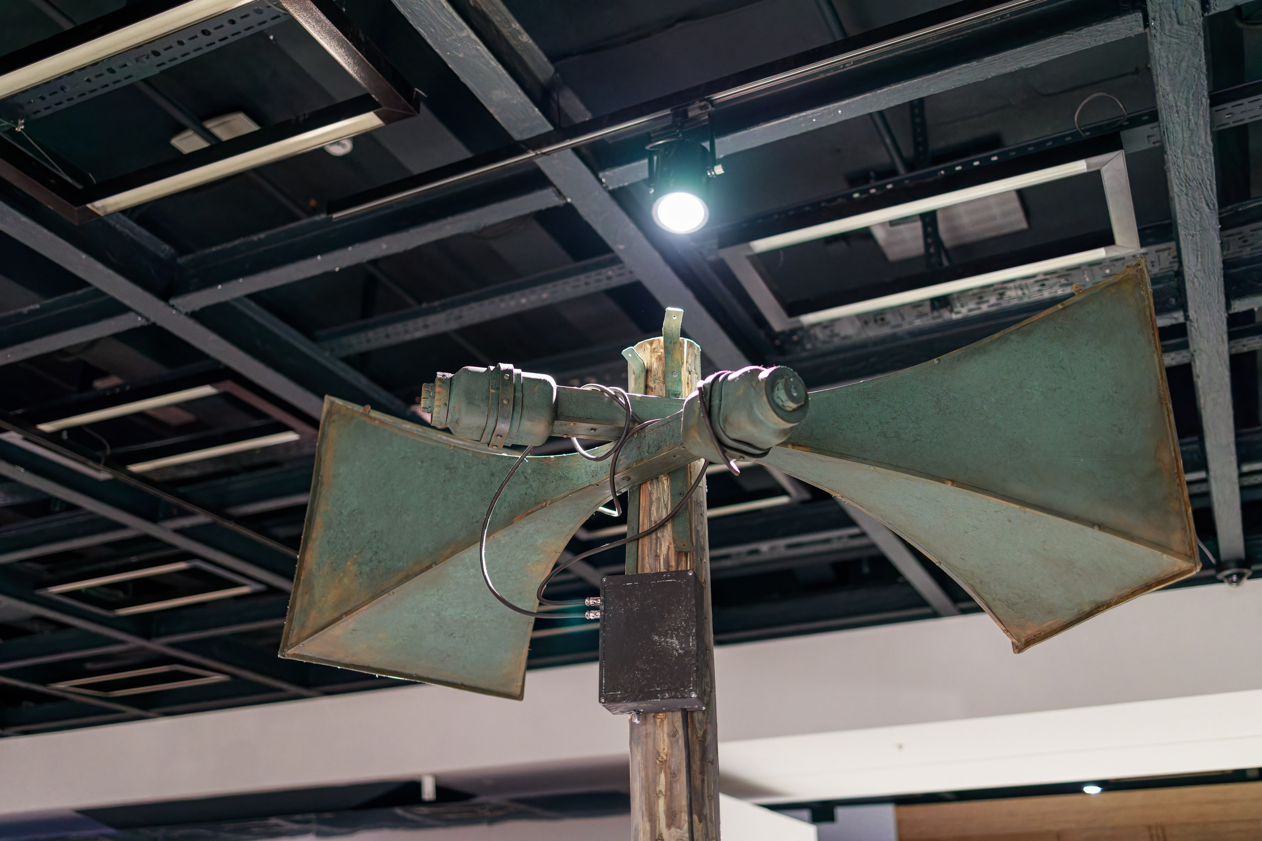 Выставочный проект «Город-Герой Ленинград». Фотограф Балаев Михаил