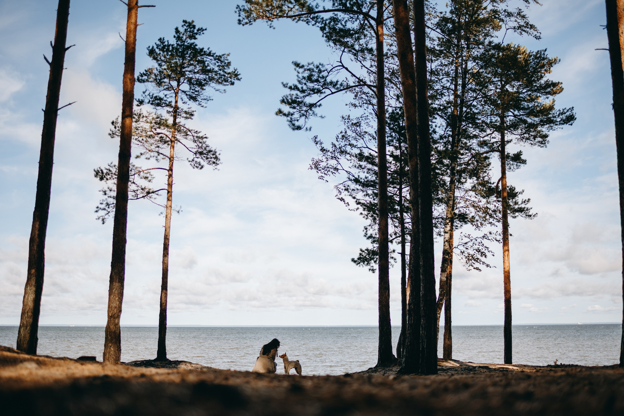 Алиса и Лео. Фотограф — Анималист | Санкт-Петербург