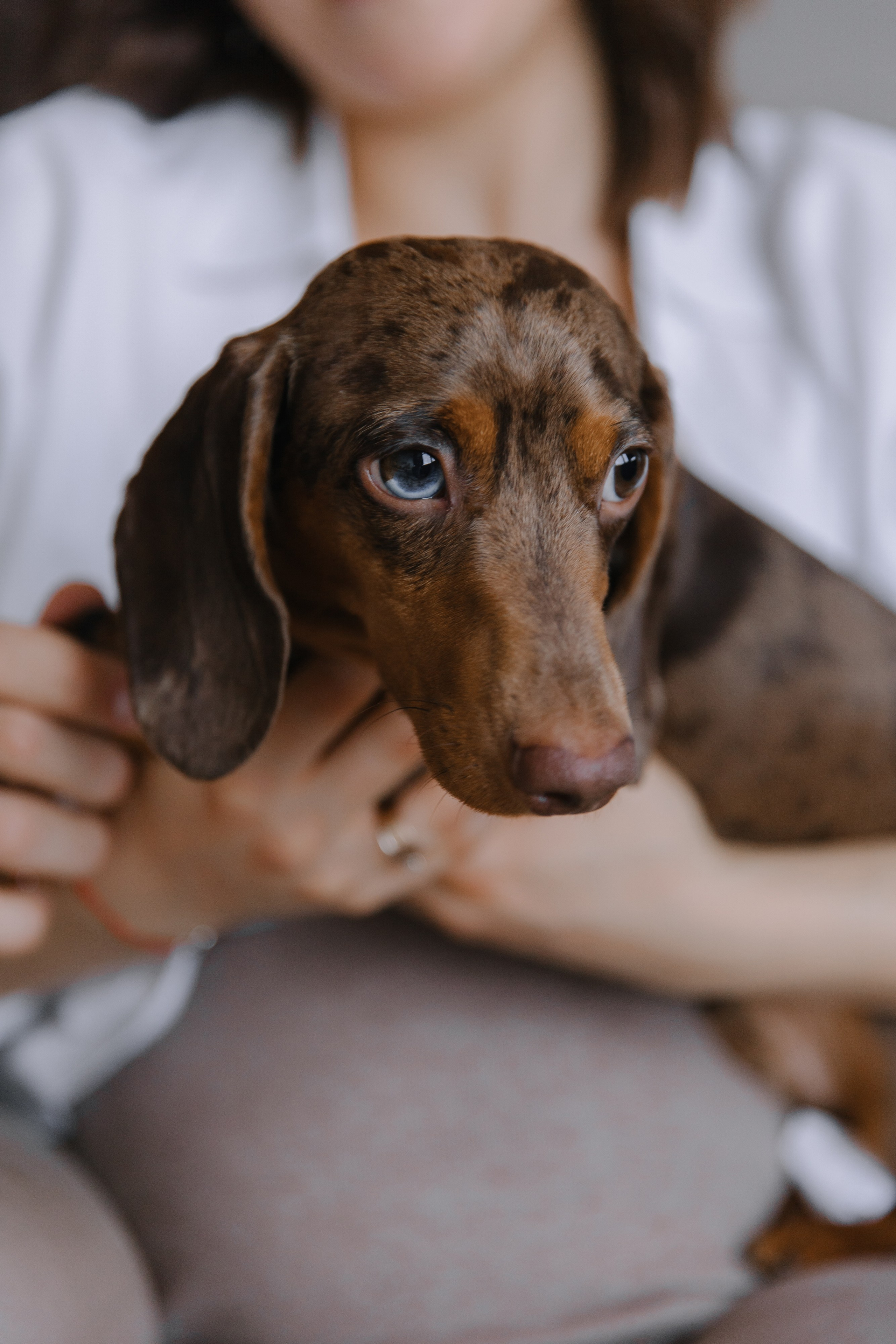 Катя и Костя. Фотограф Елена Краснопевцева