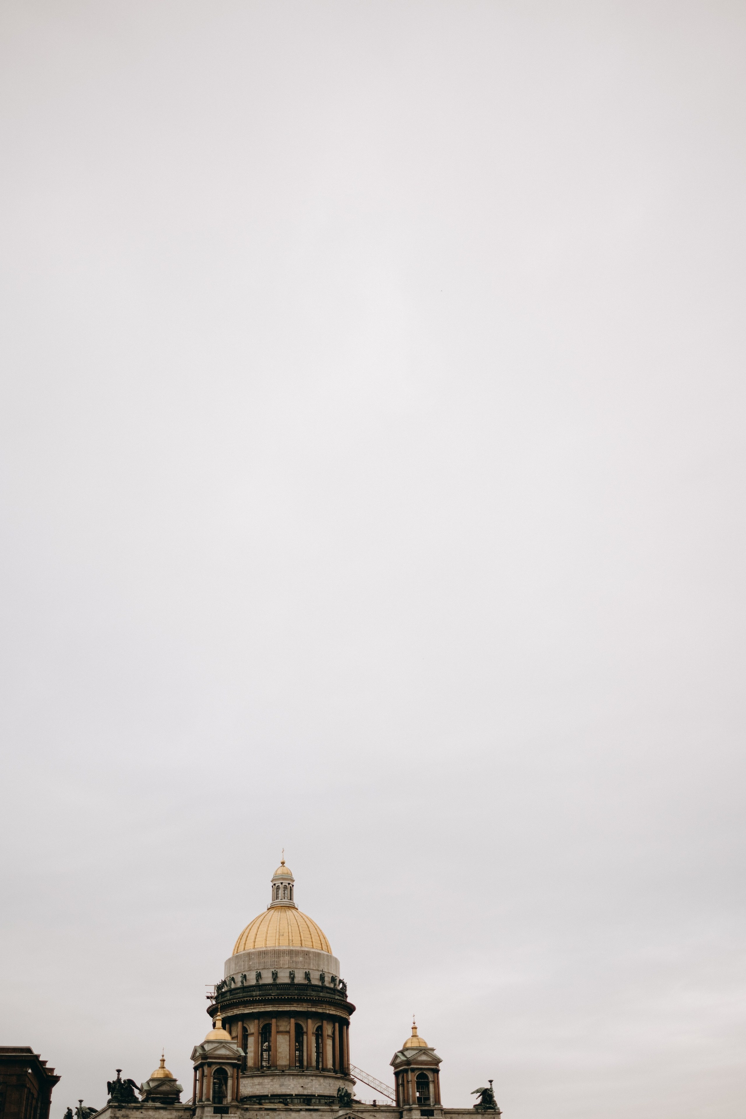 Сириус и его семья. Фотограф — Анималист | Санкт-Петербург