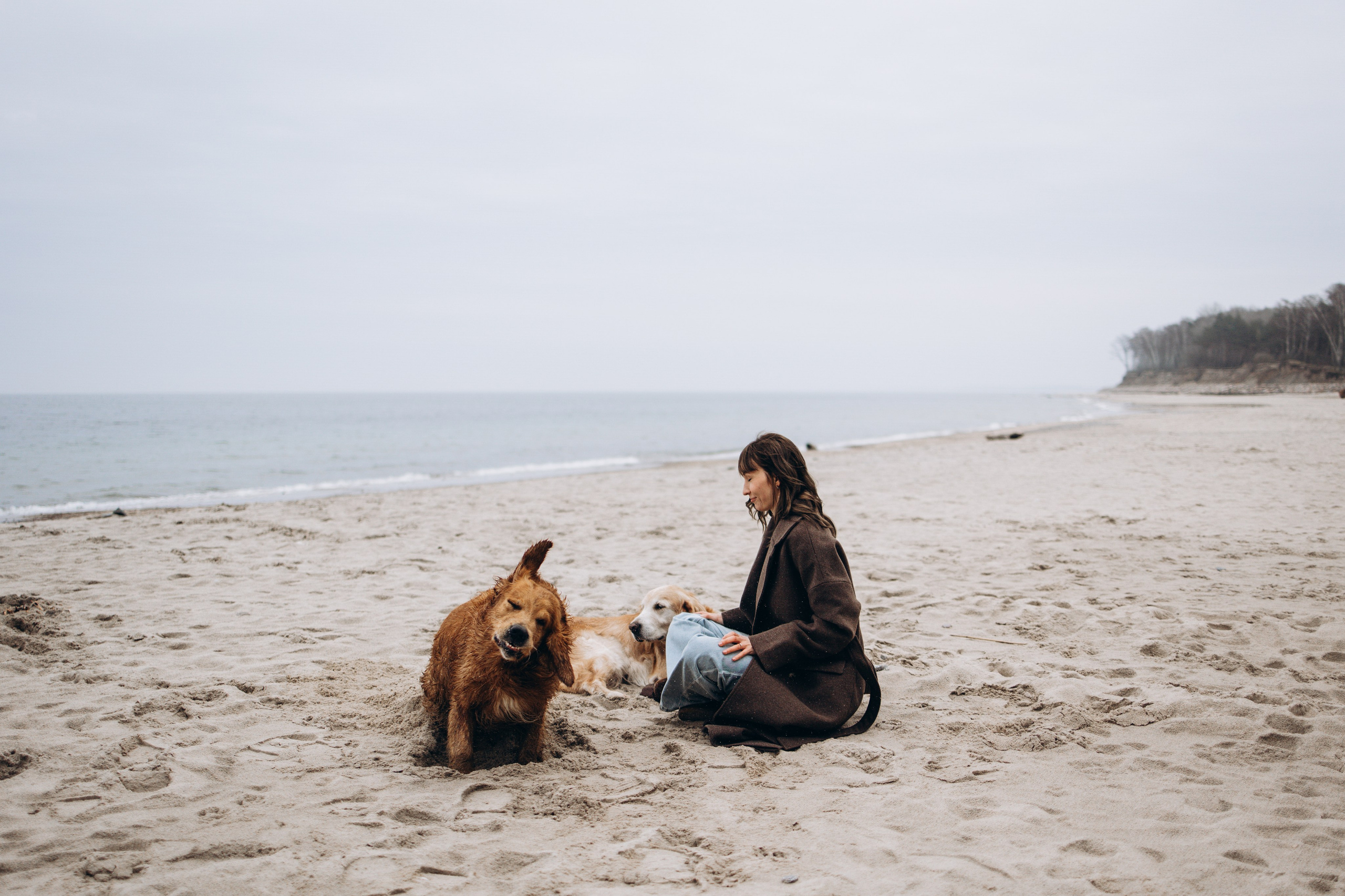Юля и Максик. Фотограф — Анималист | Санкт-Петербург