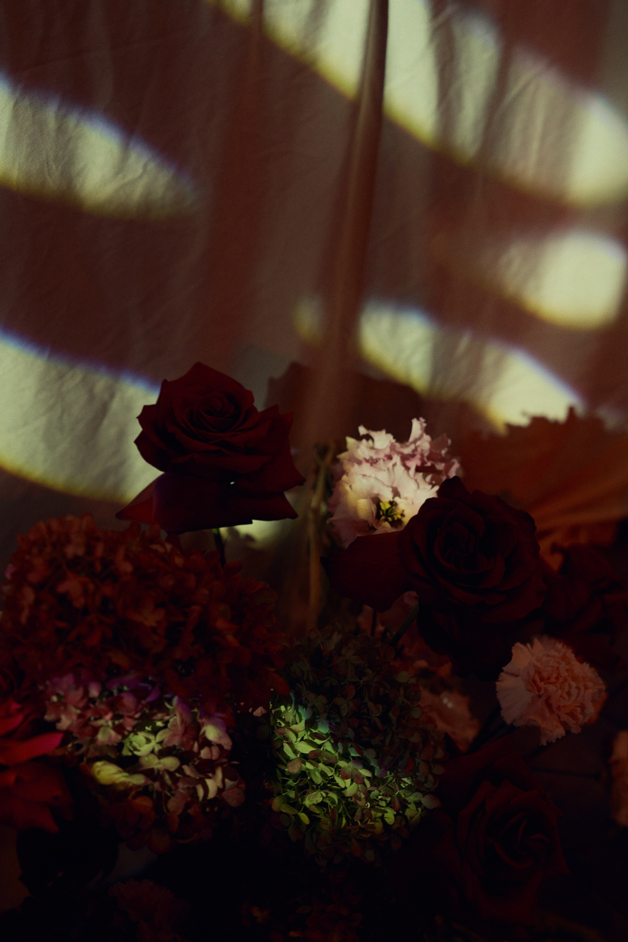 Дмитрий & Элина. Главная